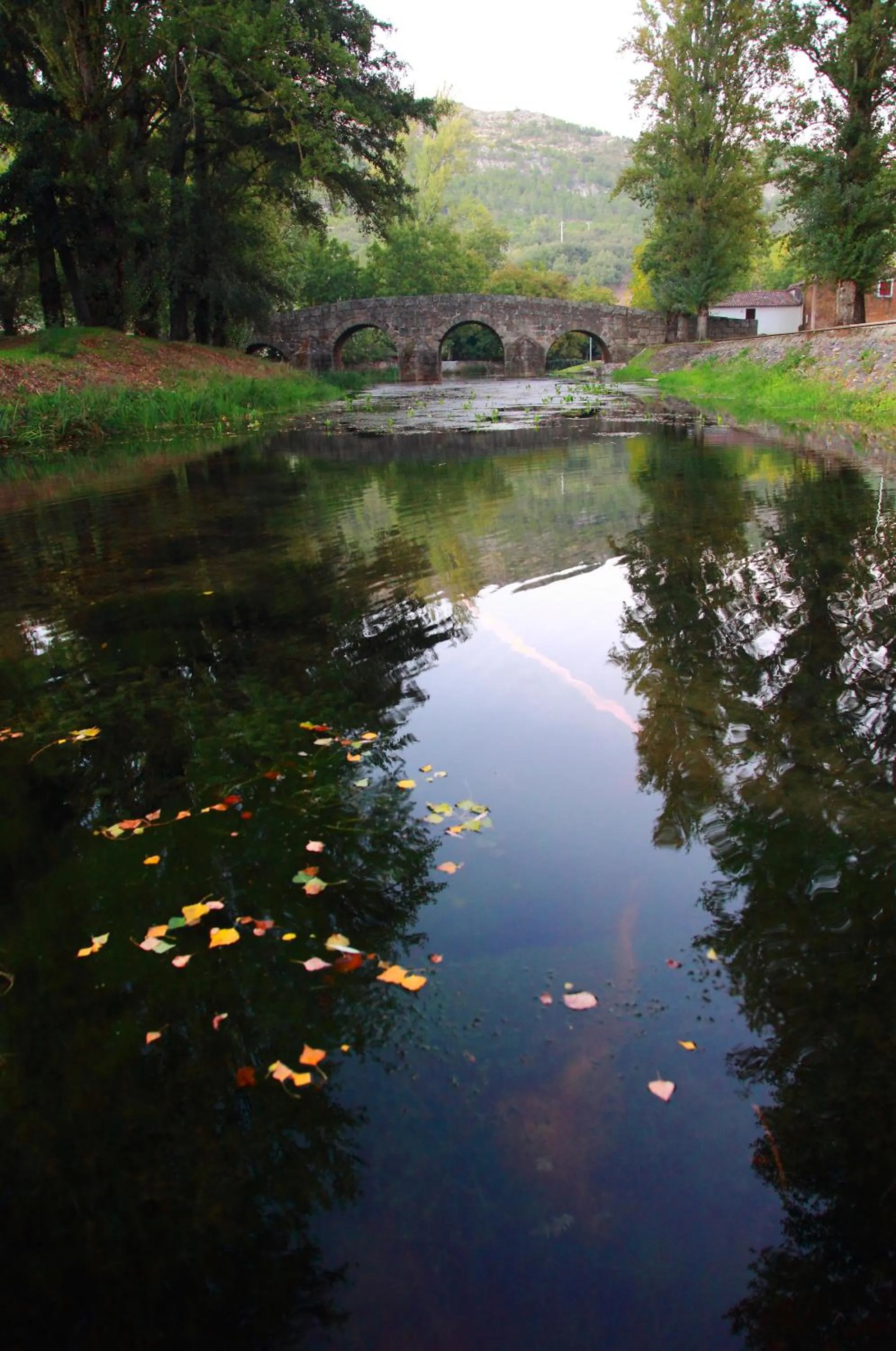 Other in Sever Rio Hotel