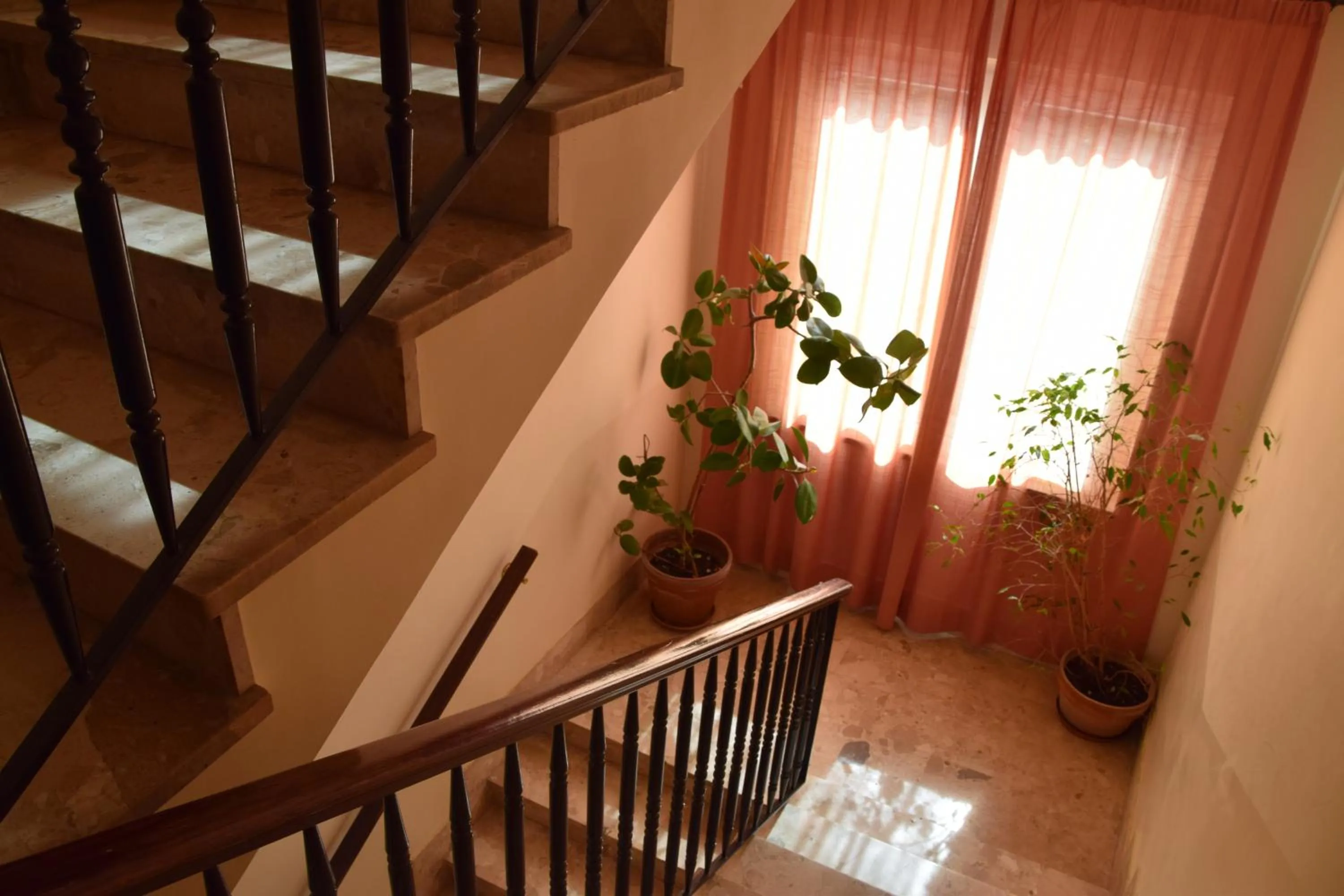 Restaurant/places to eat in Hotel Ristorante Benigni