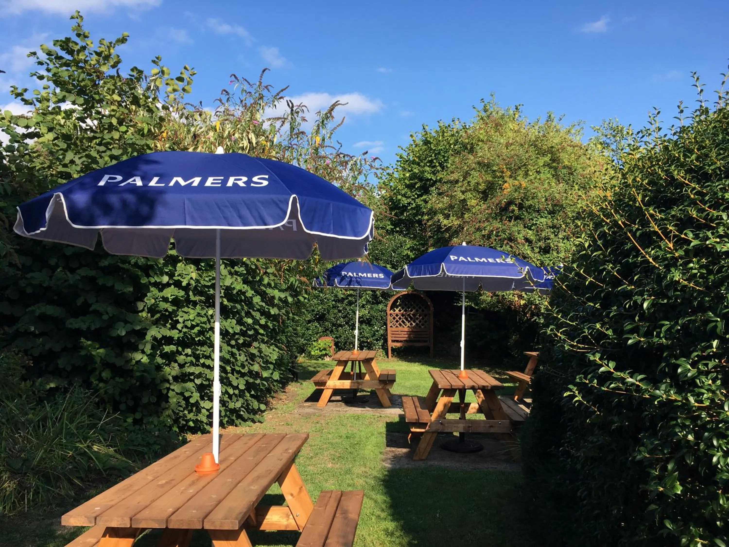 Property building in Phelips Arms