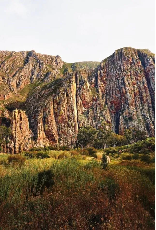 Natural landscape in Jonkmanshof - 20 Bath