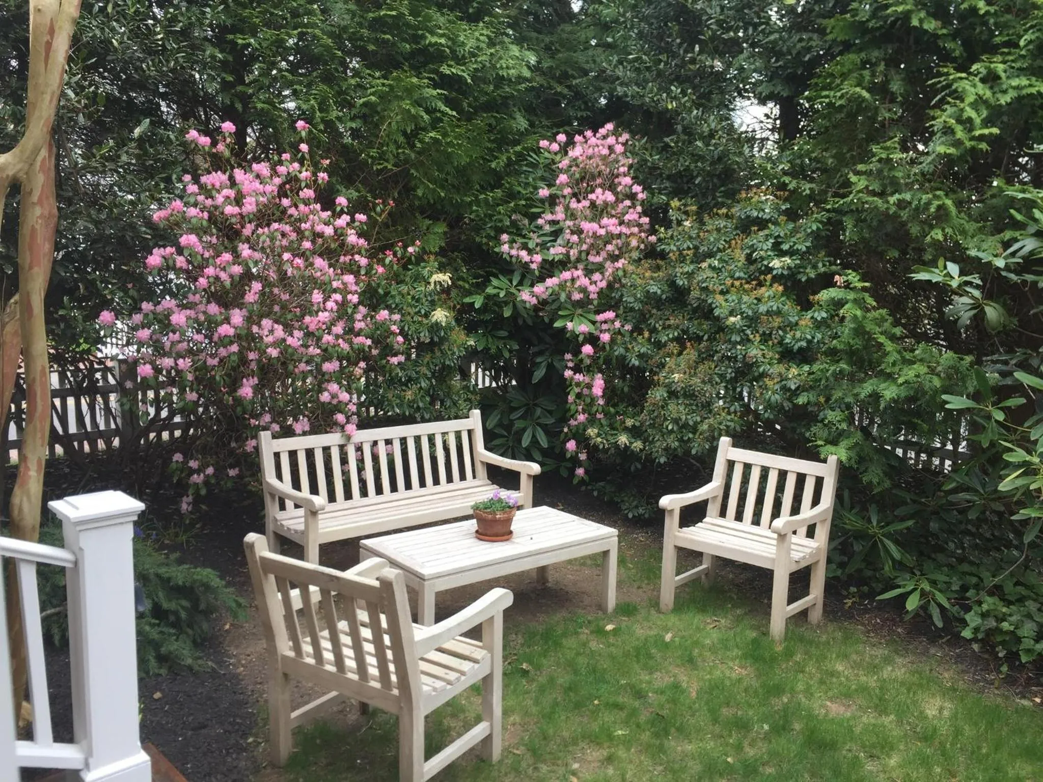 Garden in Hob Knob