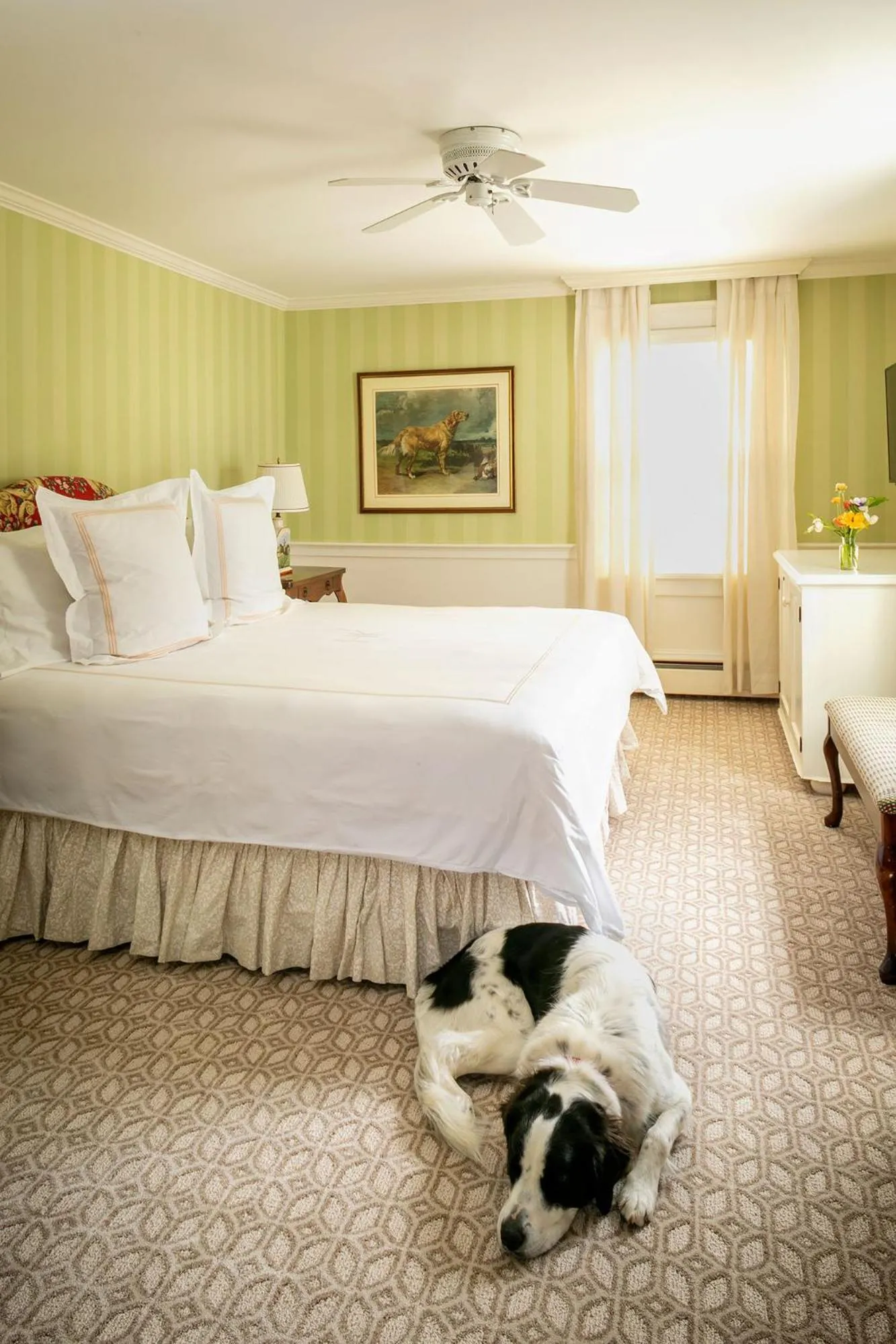 Pets, Bed in Hob Knob