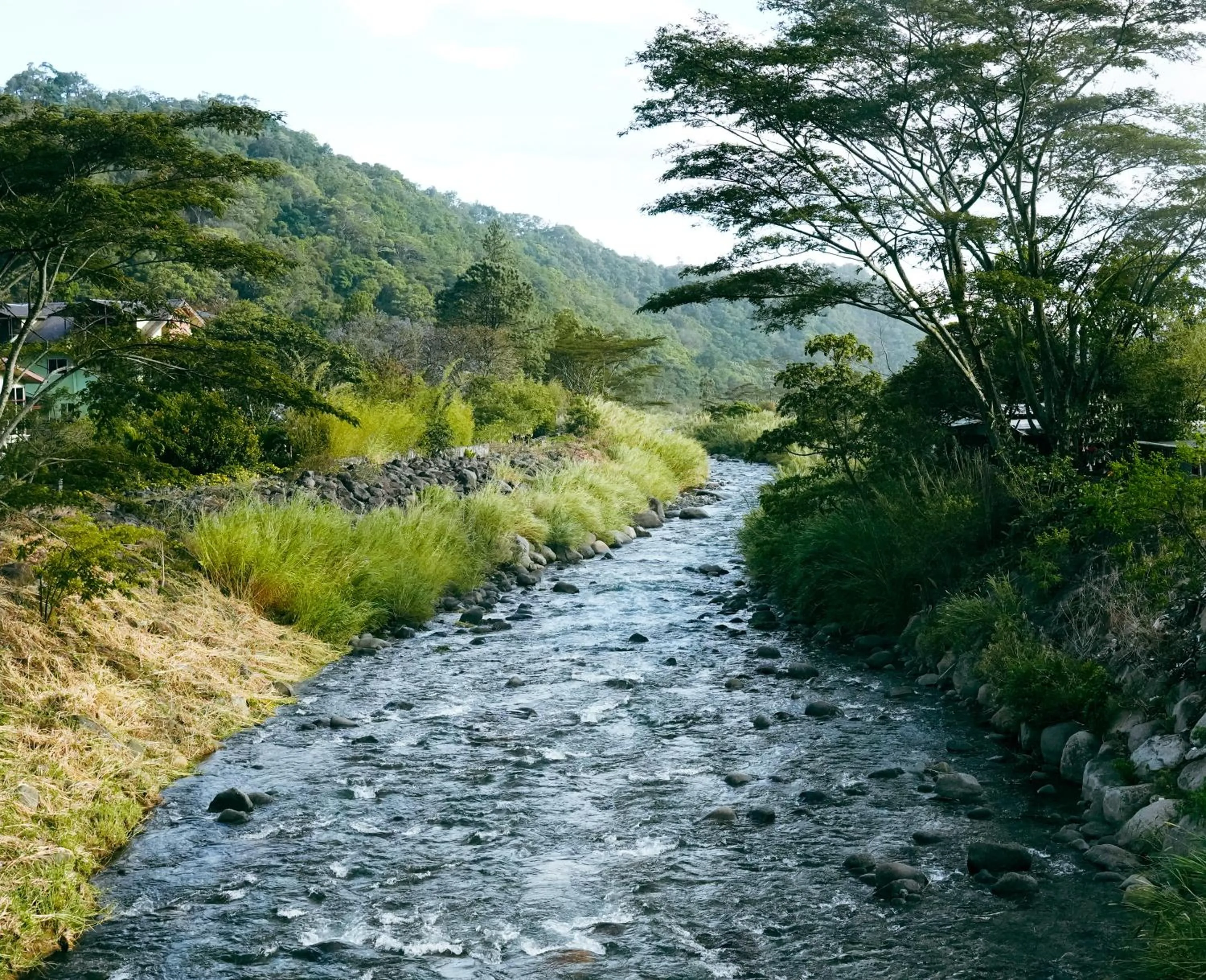 Natural landscape in Selina Boquete
