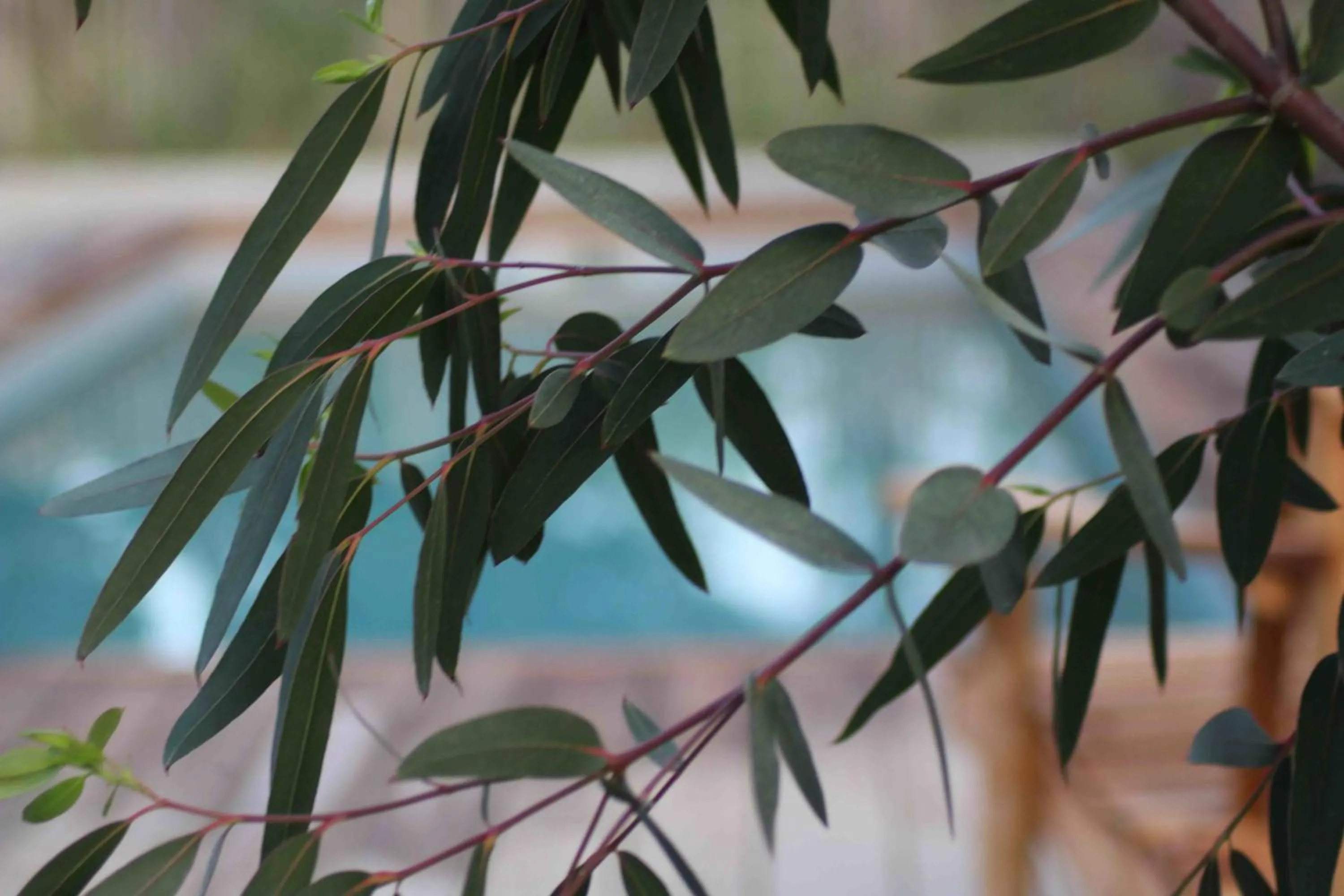 Fitness centre/facilities in Chambres d'Hôtes 1001 NUITS Montalivet