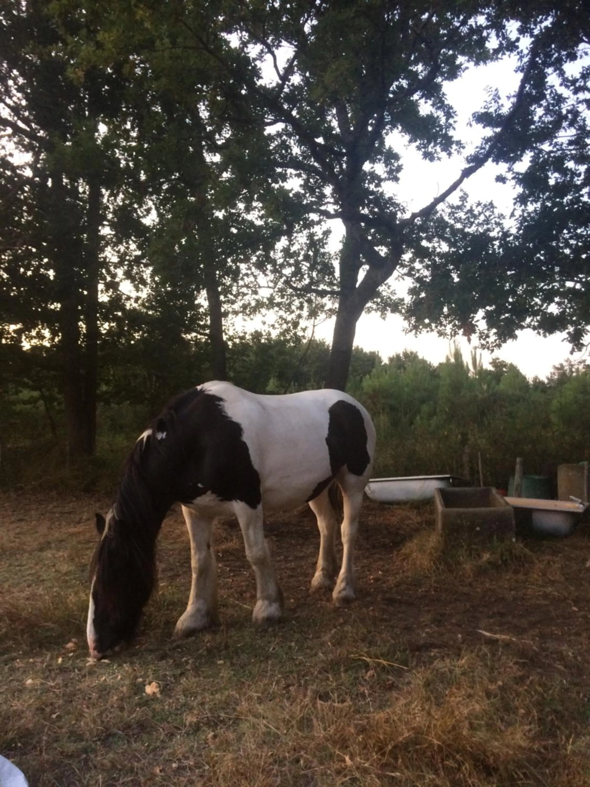 Activities in Chambres d'Hôtes 1001 NUITS Montalivet
