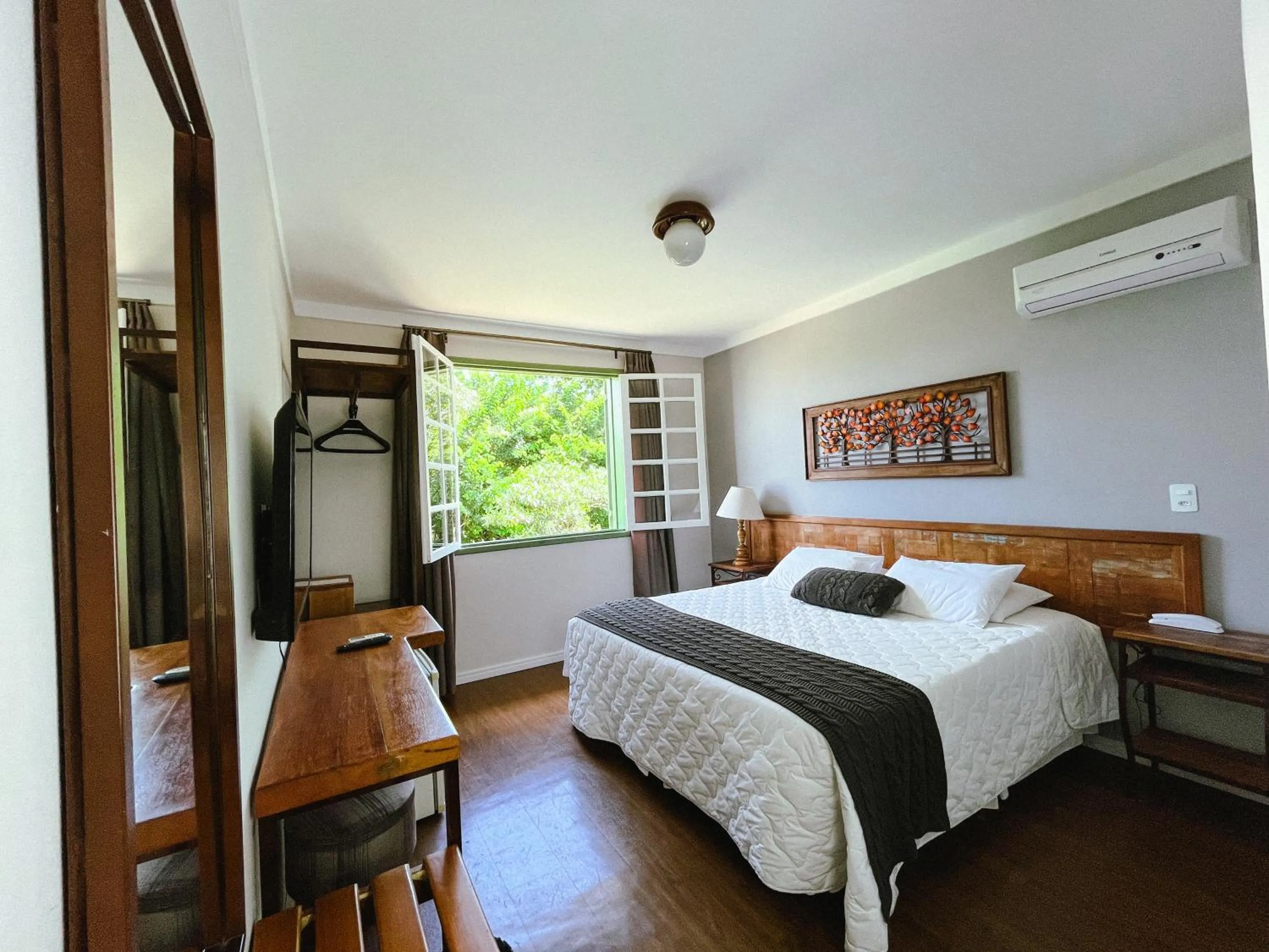 Standard Double Room in Pousada Villa Allegra