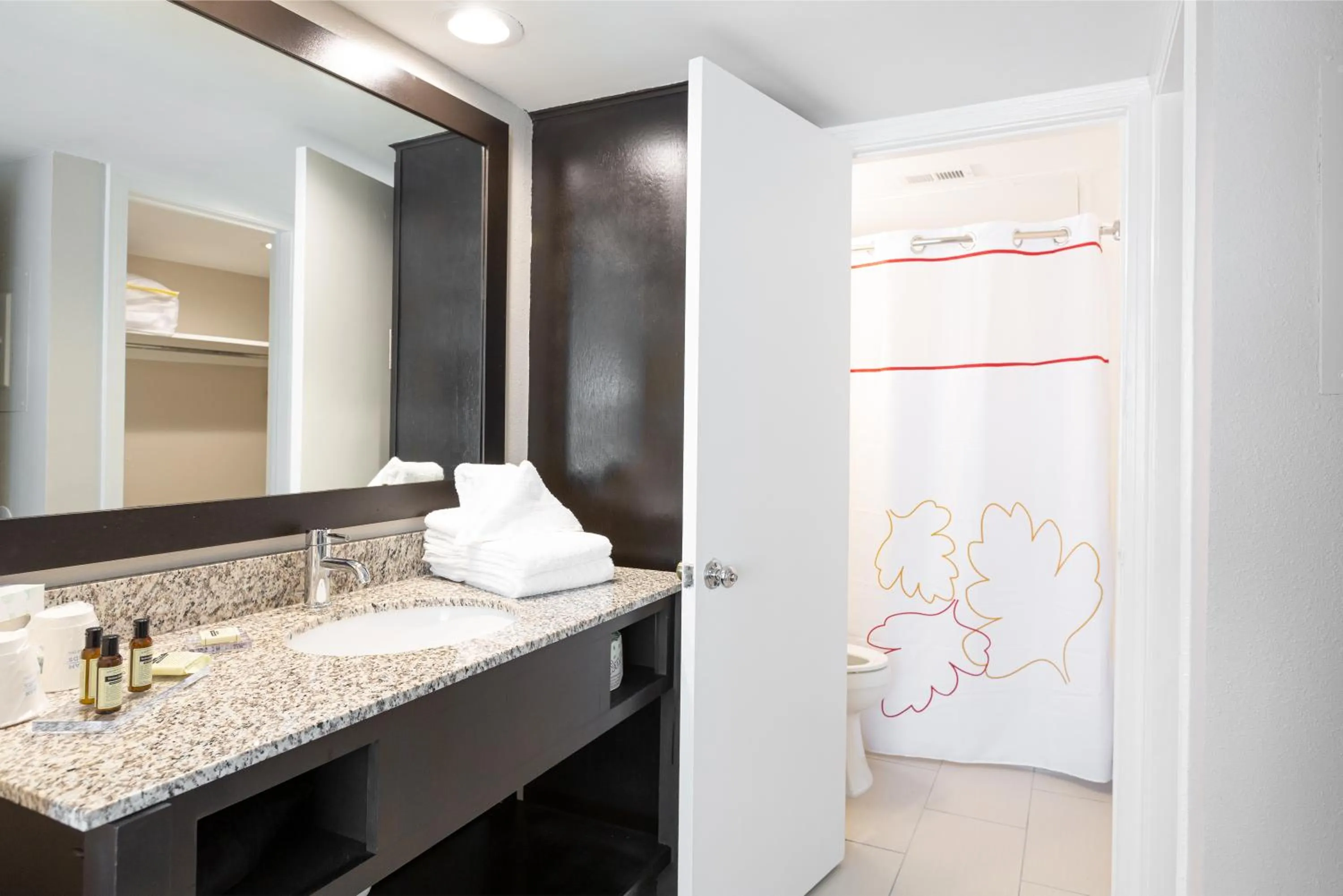 Bathroom in Value Suites Extended Stay - Arlington