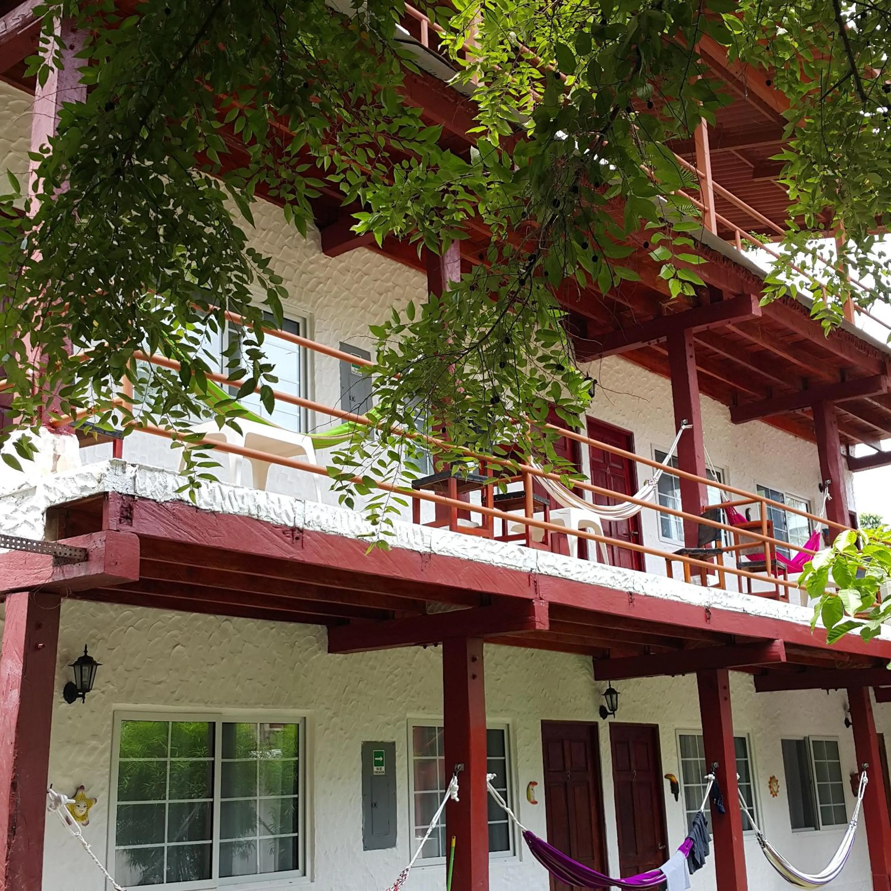 Garden in Hotel Gerald