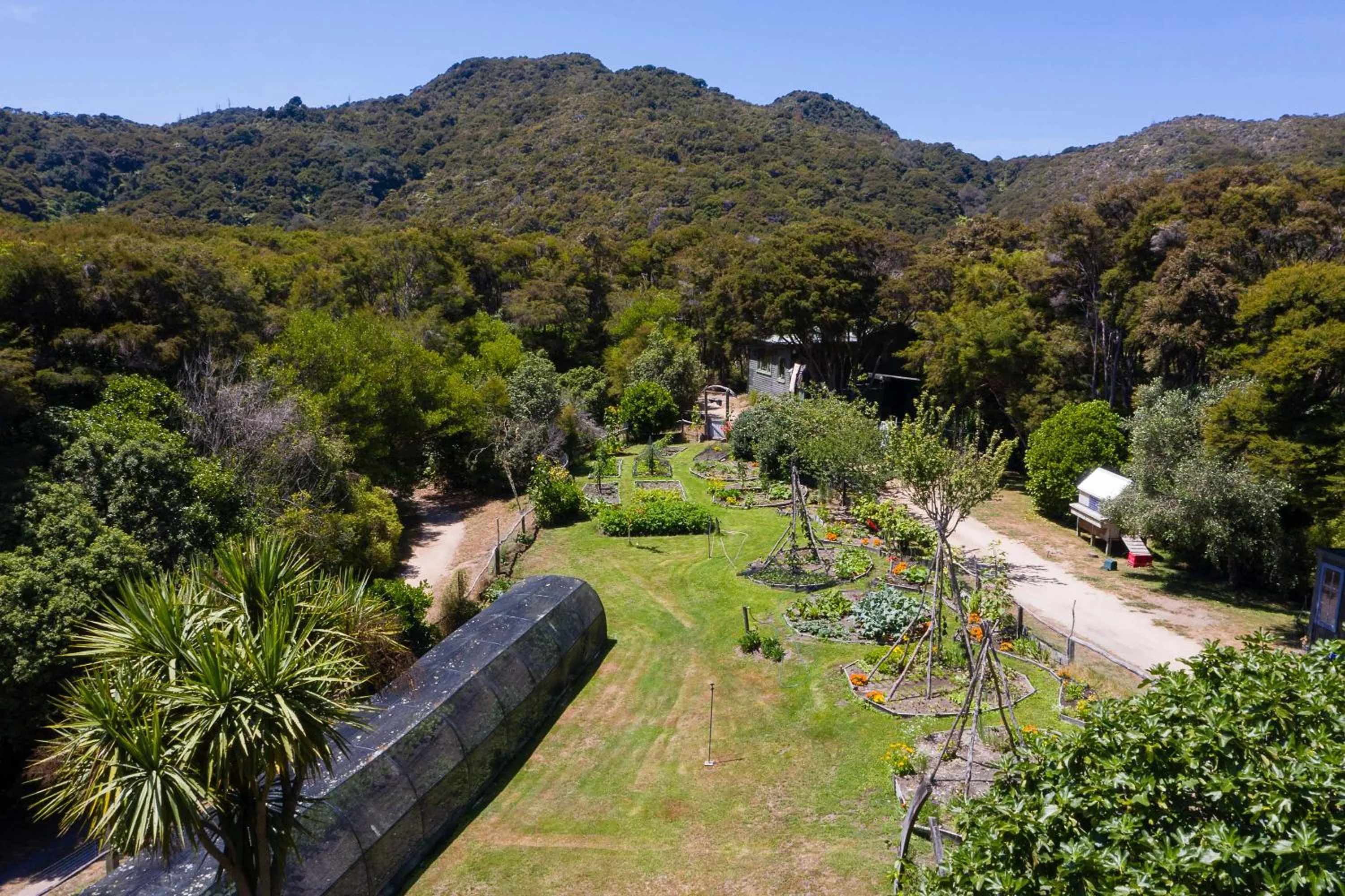 Garden in Awaroa Lodge