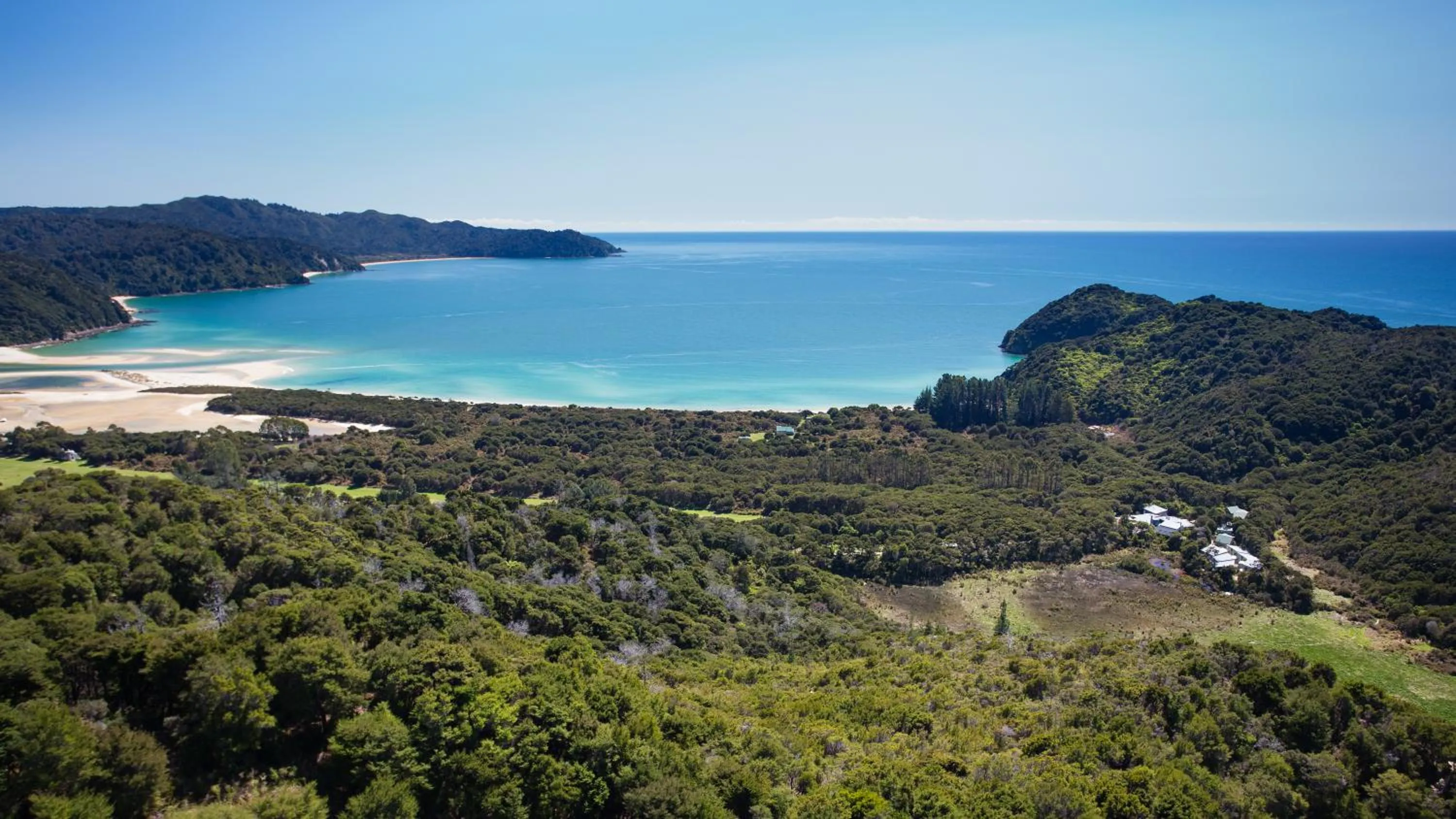 Spring in Awaroa Lodge