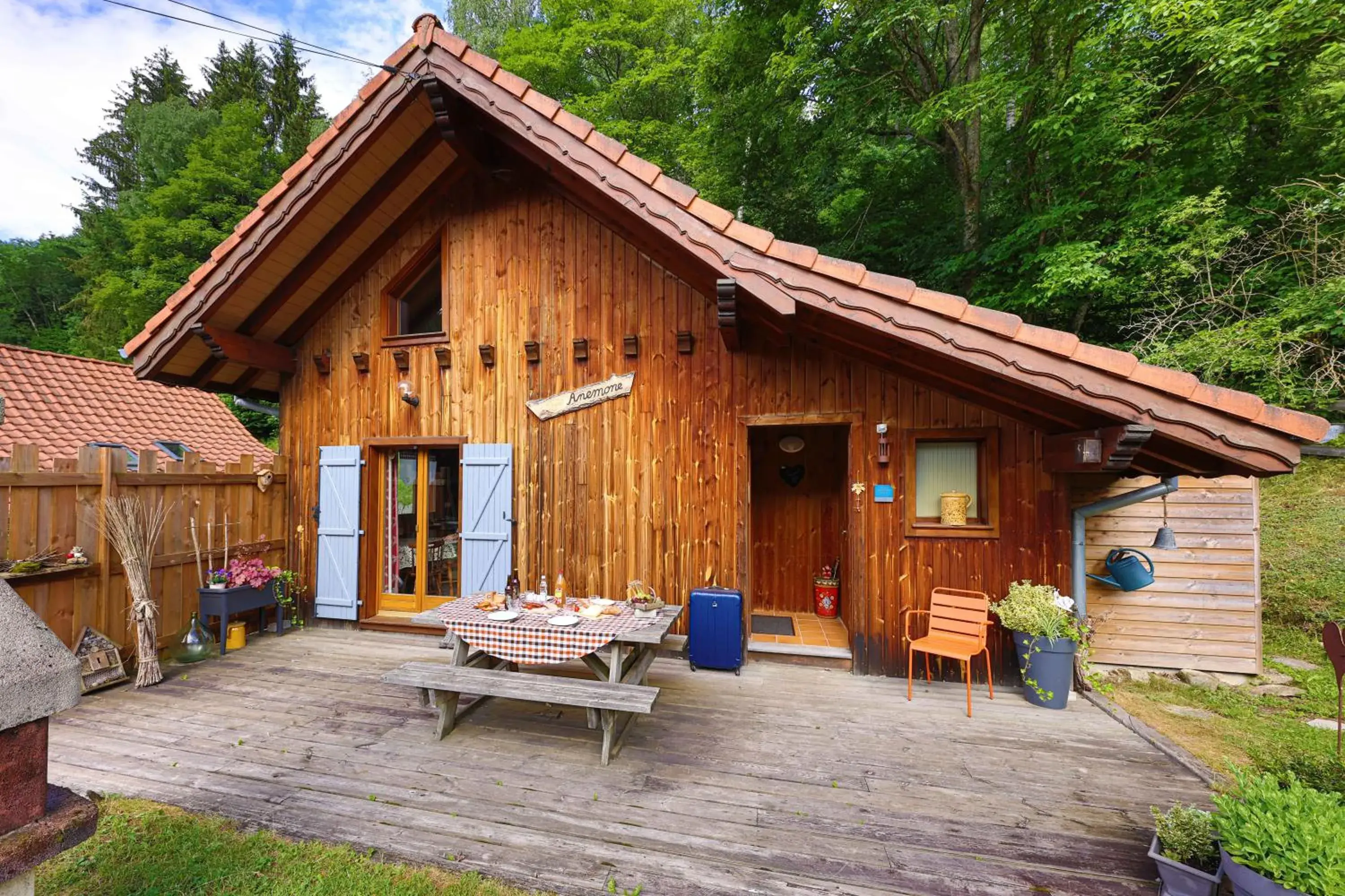 Chalet Anemone Chalet Anemone