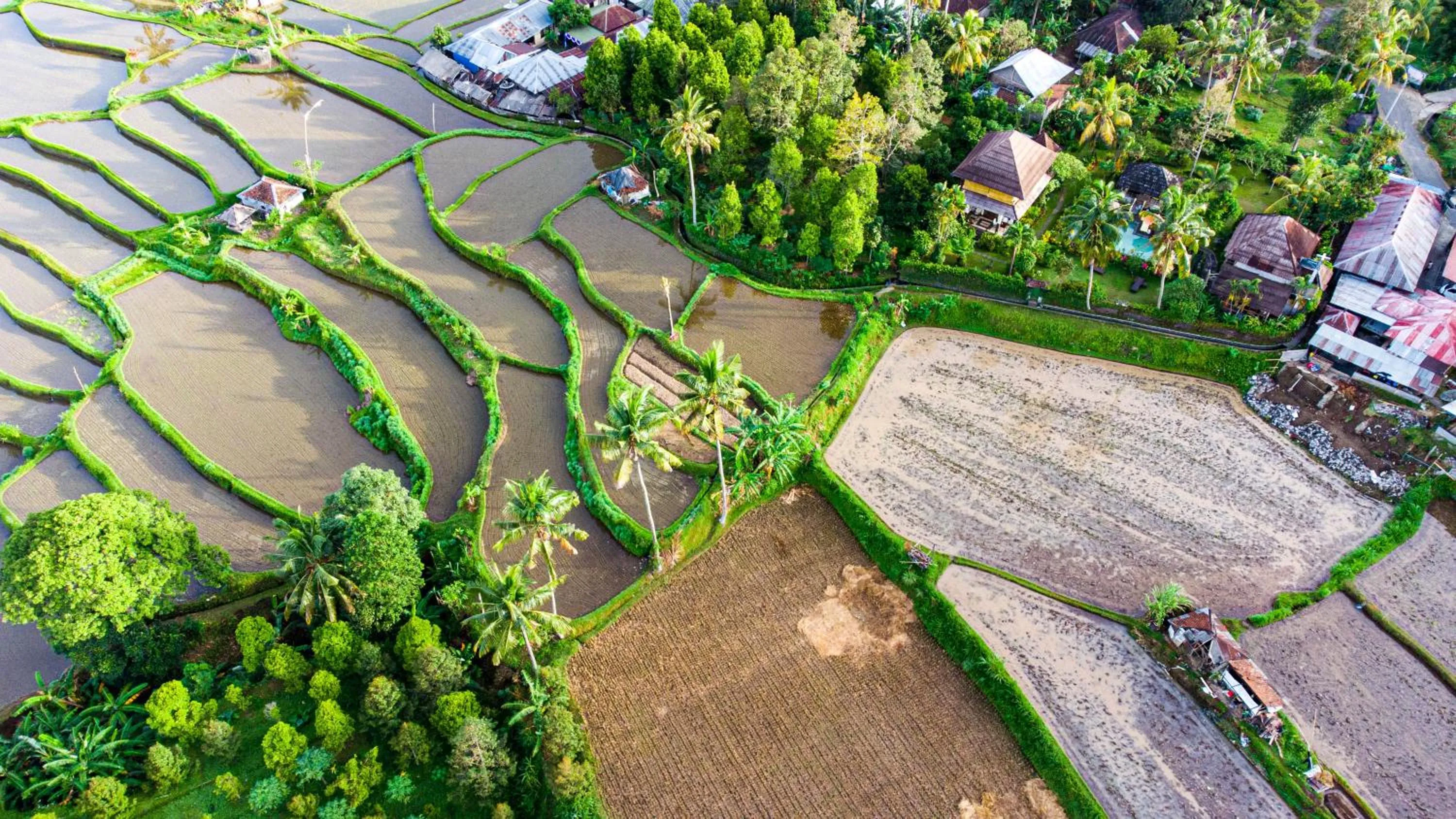 Natural landscape in Villa Manuk