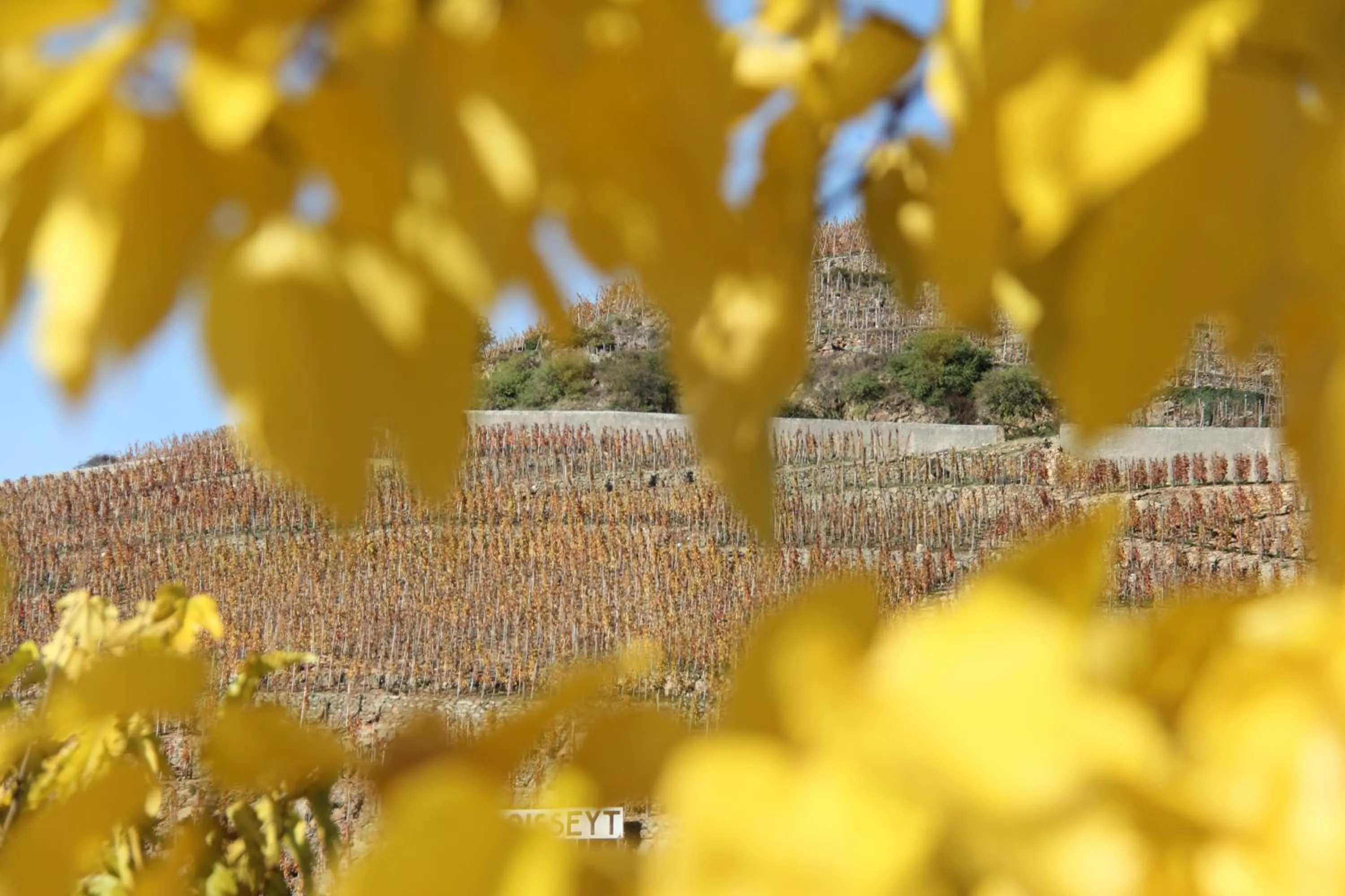 Hôtel Le Domaine des Vignes Ampuis Lyon Sud Vienne