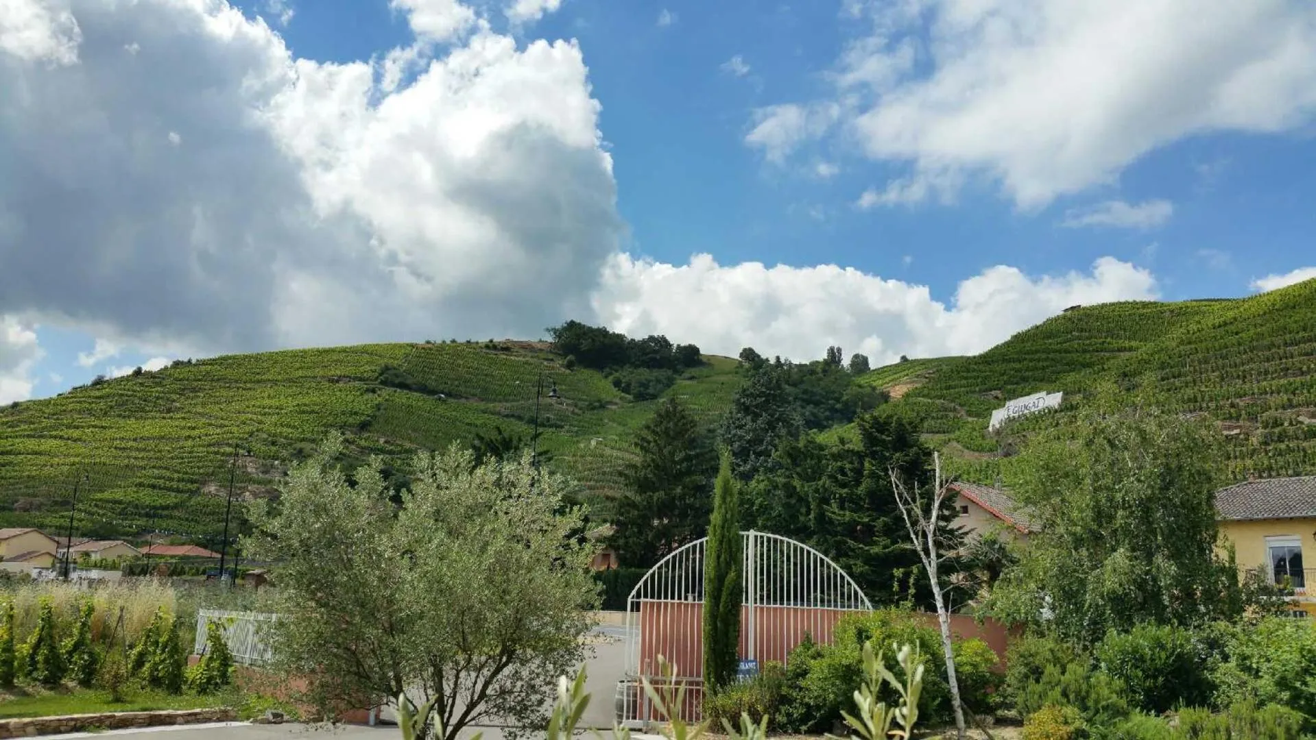 View (from property/room) in Hôtel Le Domaine des Vignes Ampuis Lyon Sud Vienne