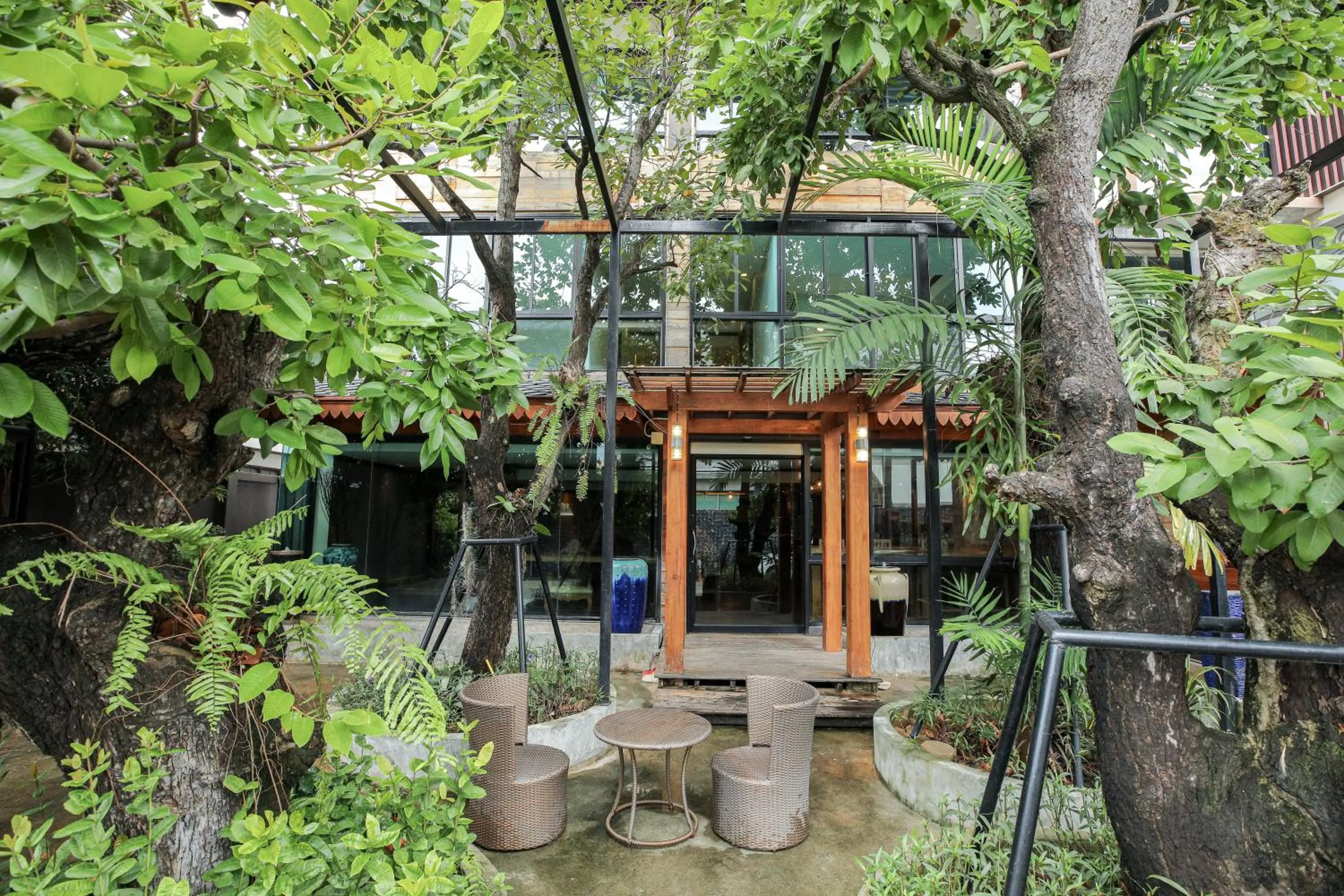 Garden view in Arbor's house