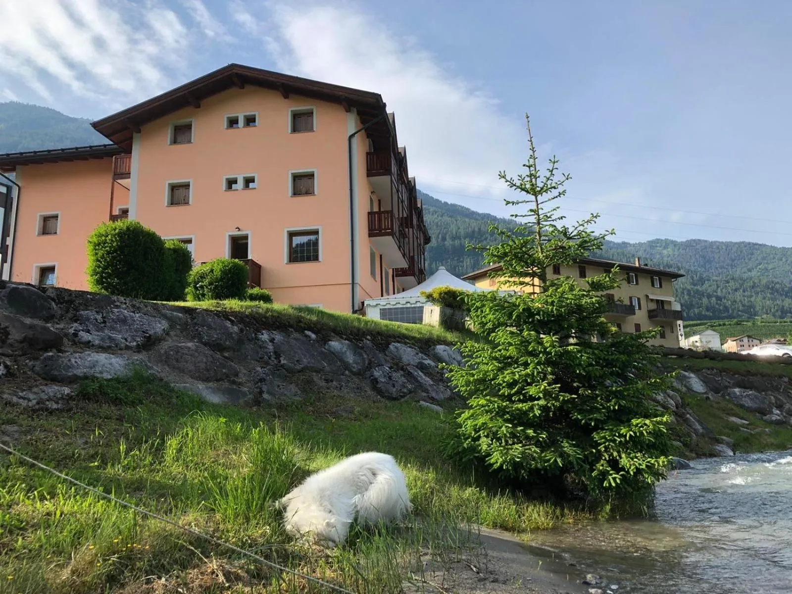 Natural landscape in Hotel Laste'