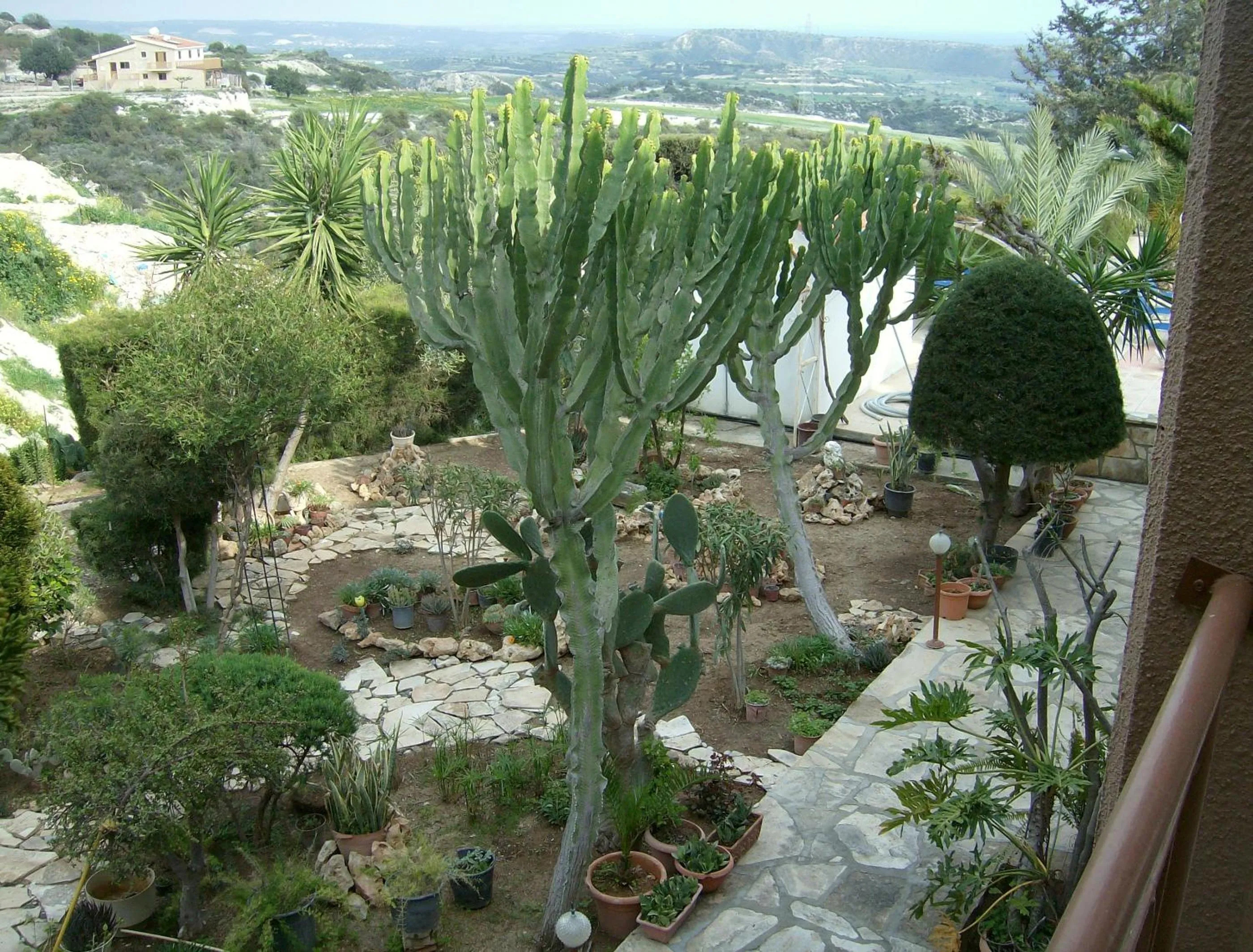 Garden in Rantzo Holiday Apartments