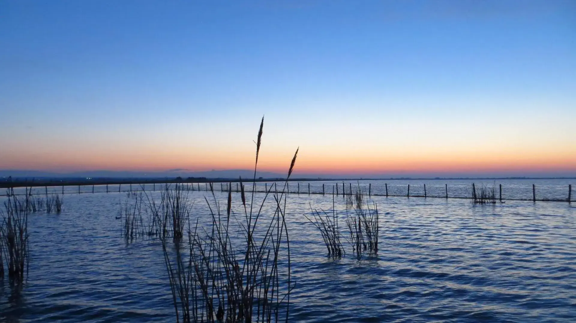 King Room with Balcony - single occupancy in A.J. B&B King Room with Balcony - single occupancy in A.J. B&B