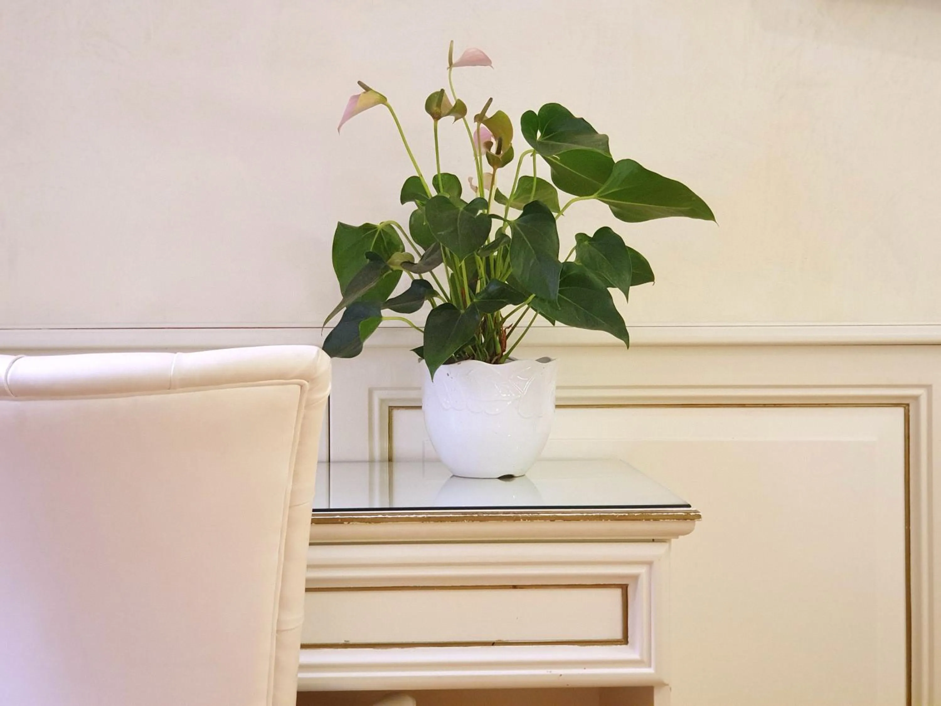 Bedroom in Hotel Aurora