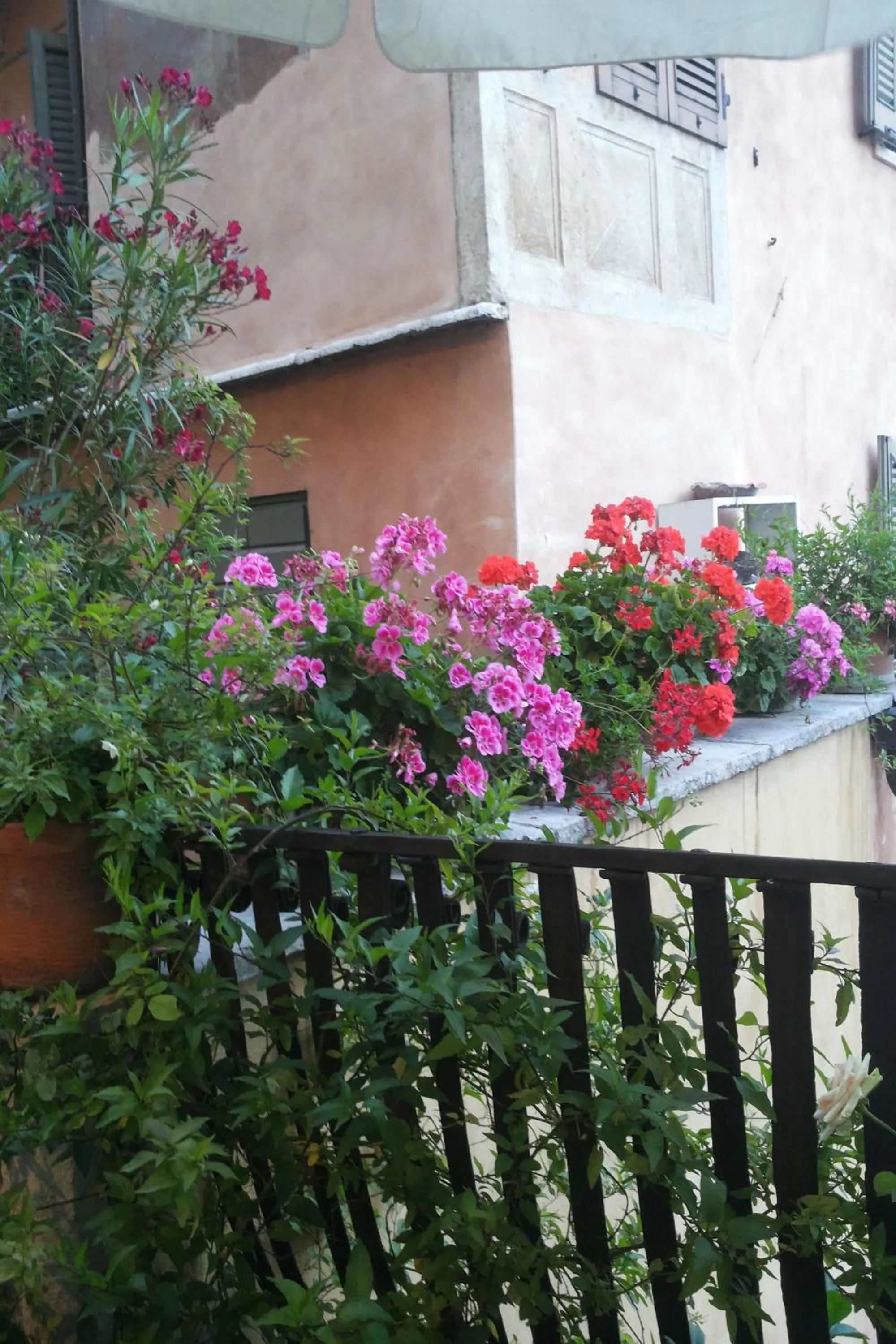 Spring in Hotel Aurora