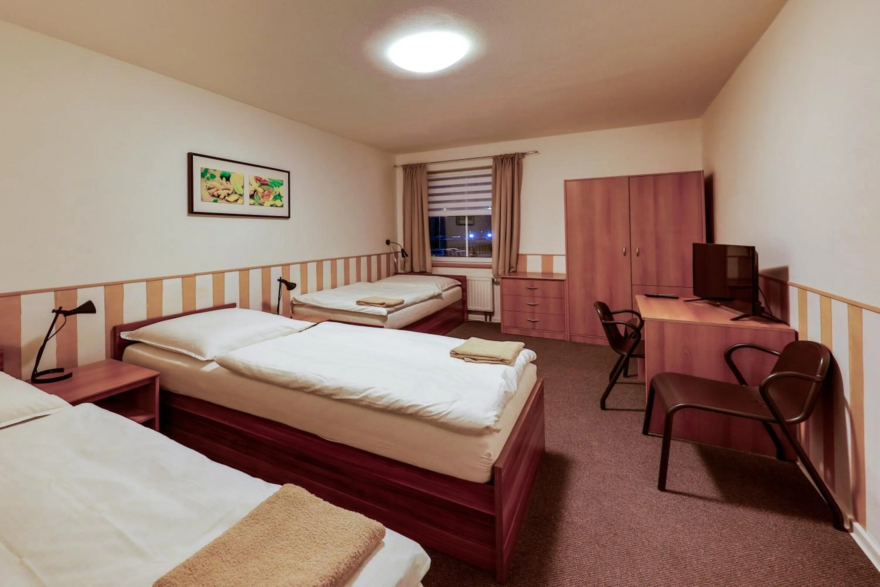 Standard Triple Room - single occupancy in Hotel NED HOCKEY