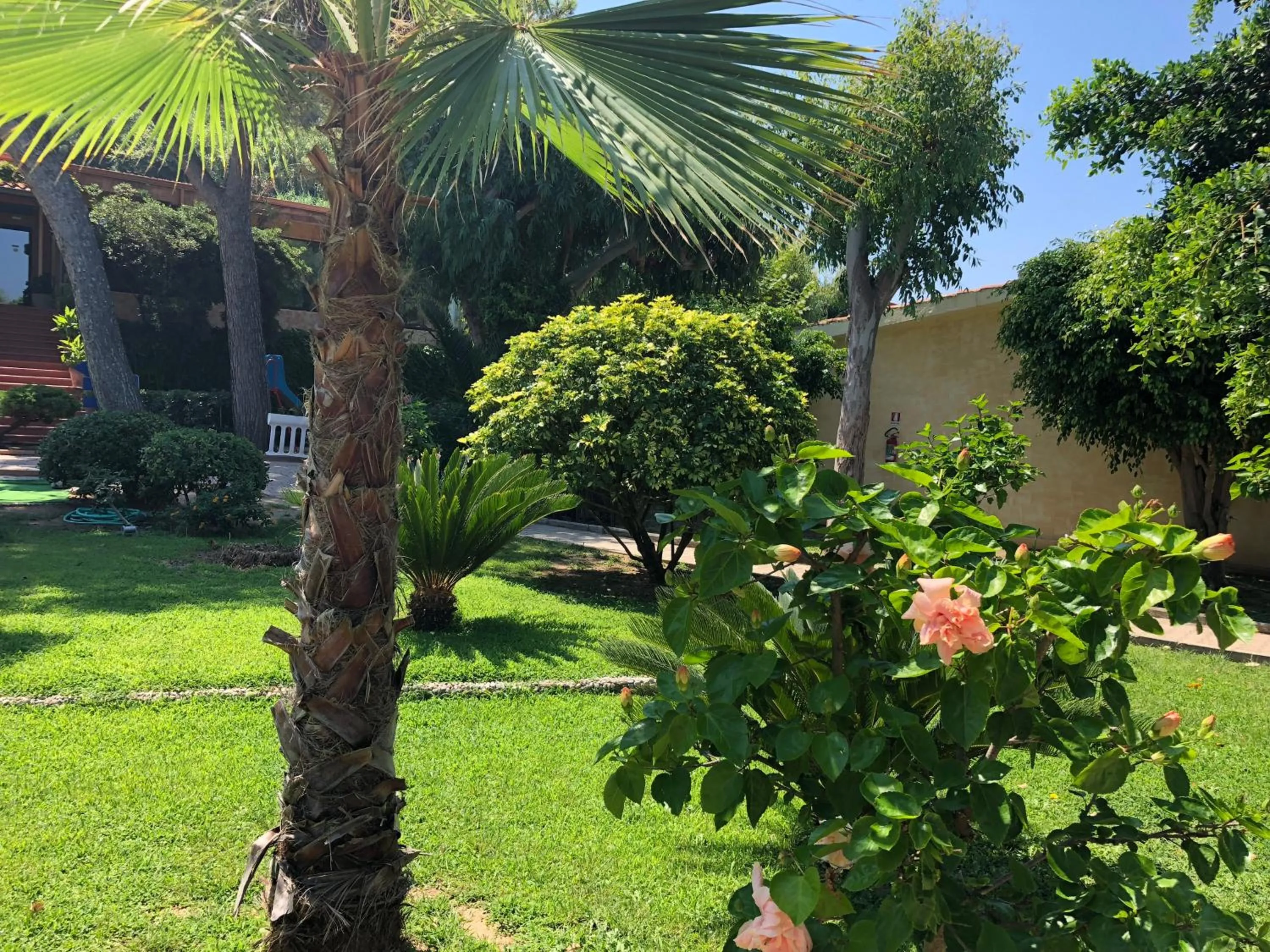 Natural landscape in Hotel Villaggio Roller Club
