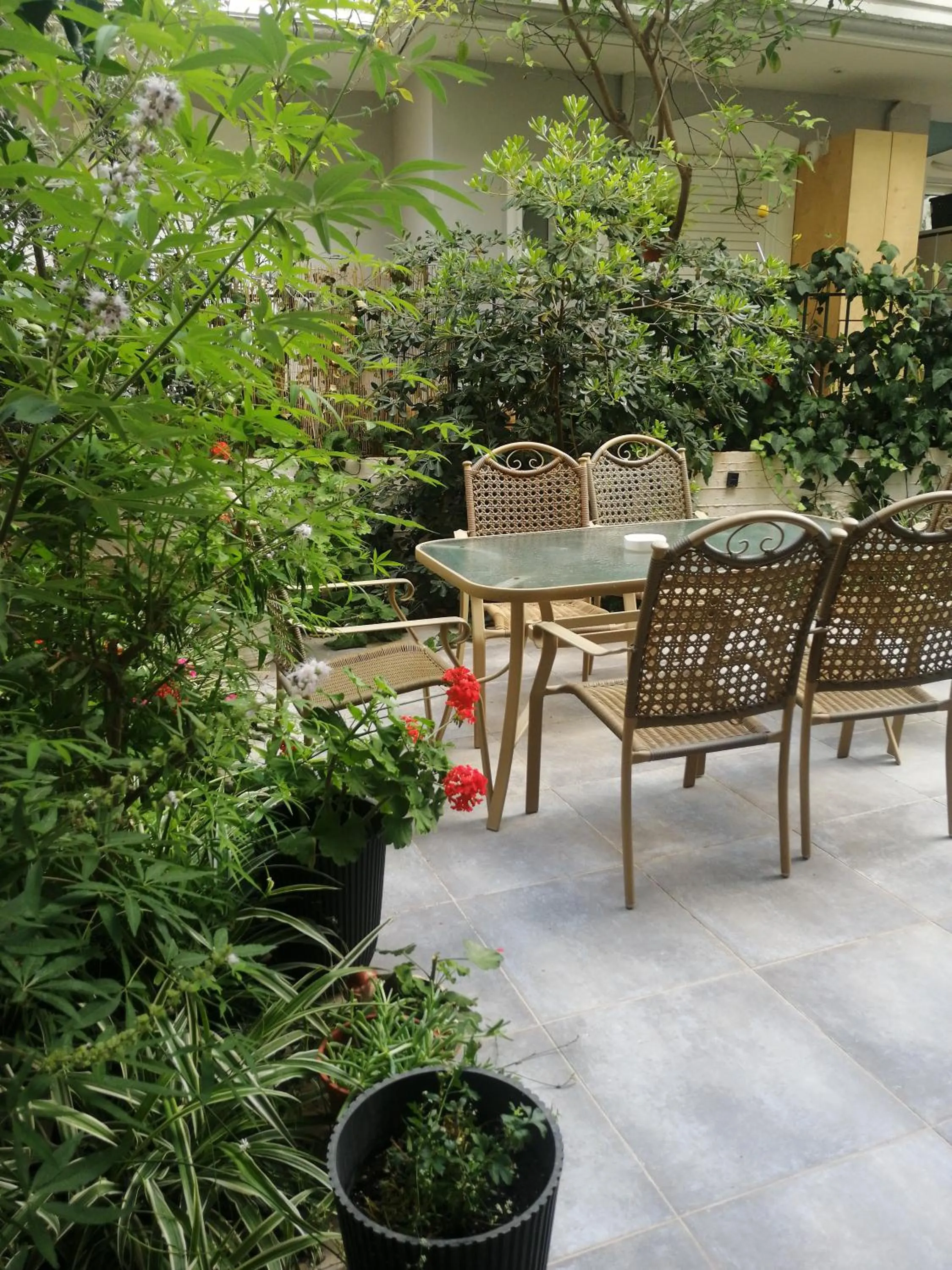Garden in Palataki Residence