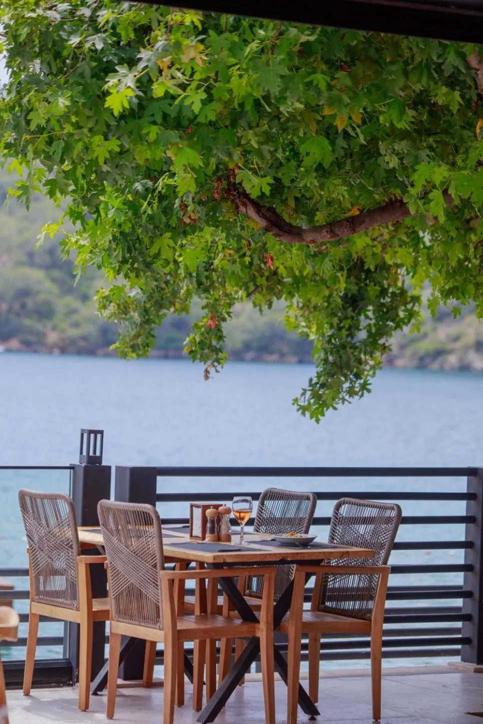 View (from property/room) in Hotel Meri All inclusive