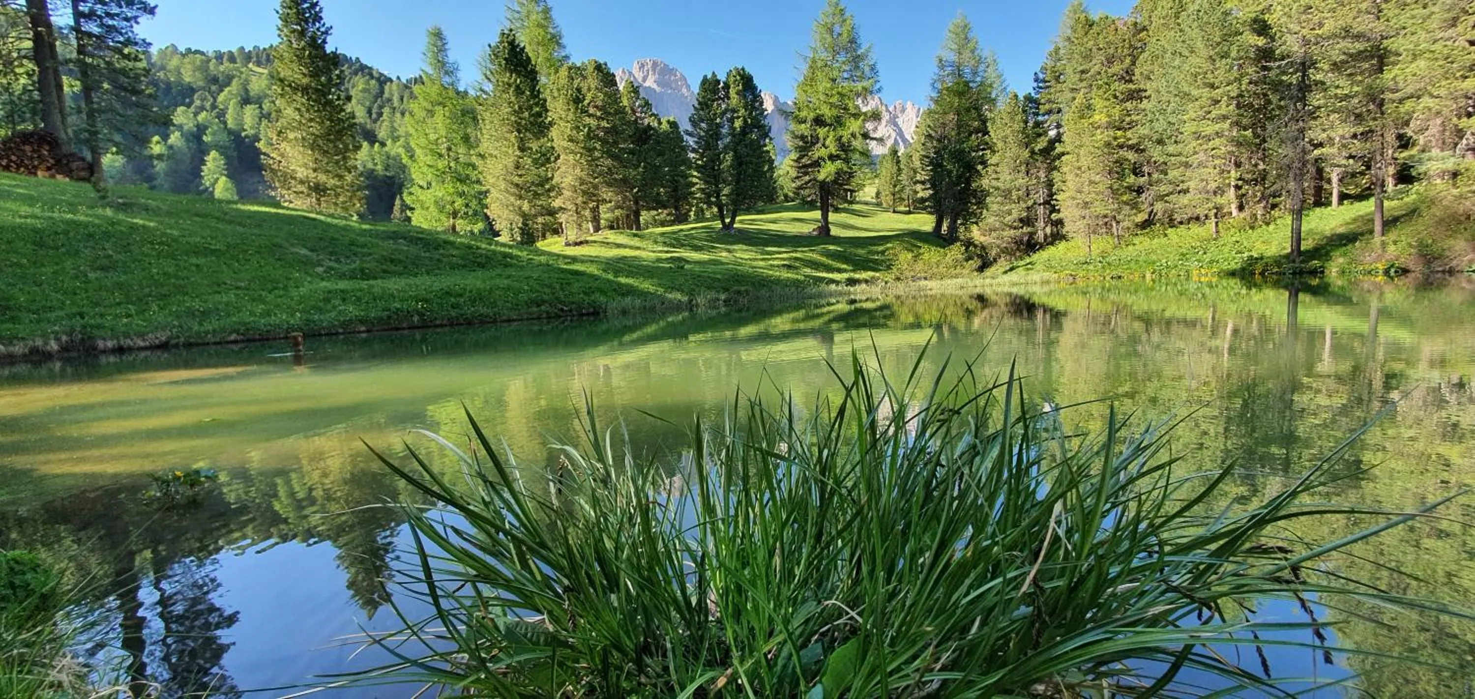 Villa Martha Vintage Hotel-B&B