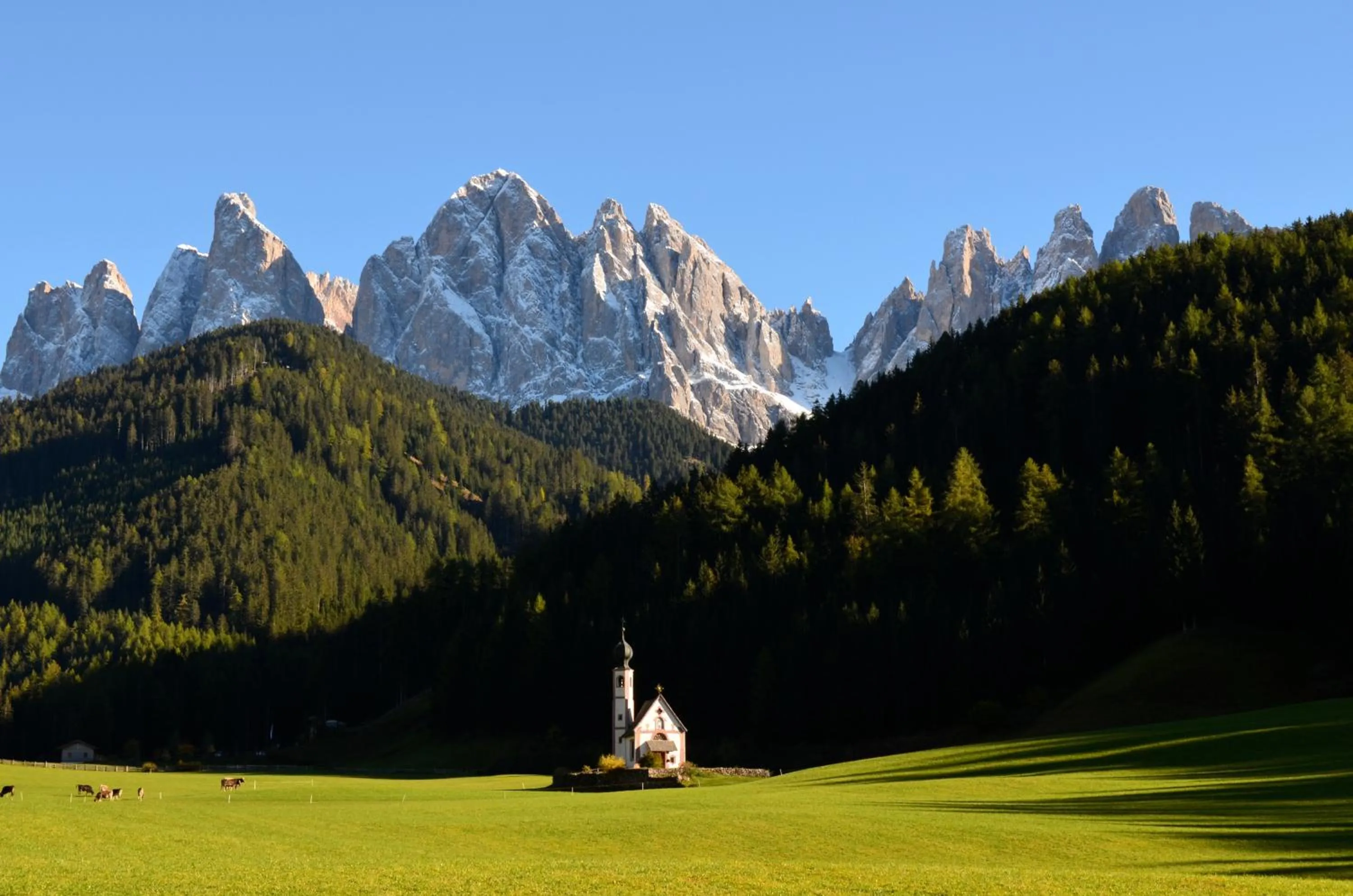 Natural landscape in Villa Martha Vintage Hotel-B&B