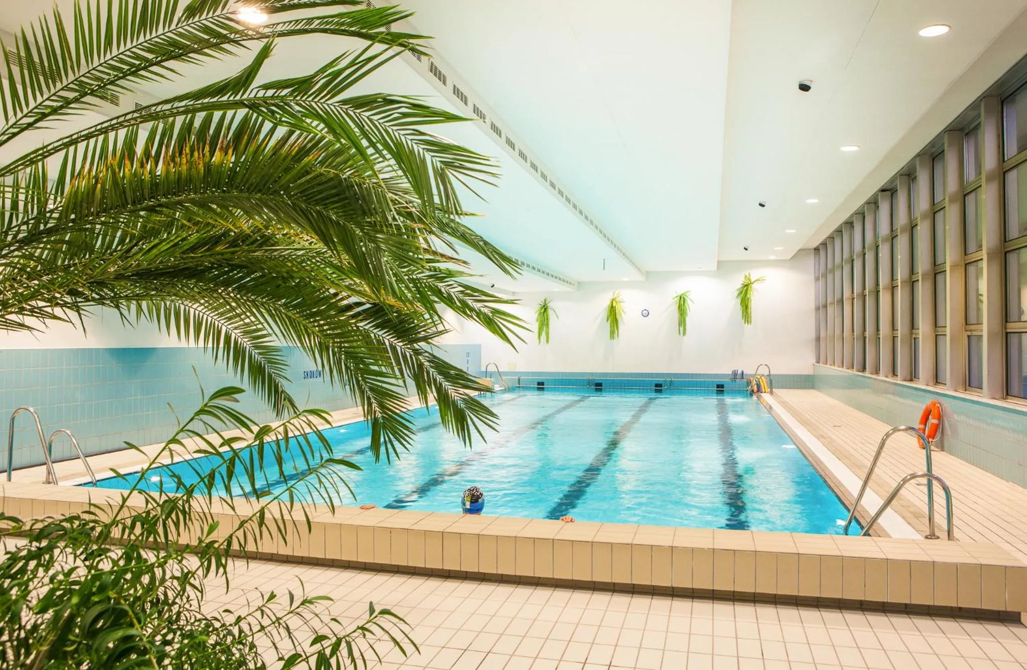 Swimming pool in Apartamenty w Willi Silesia