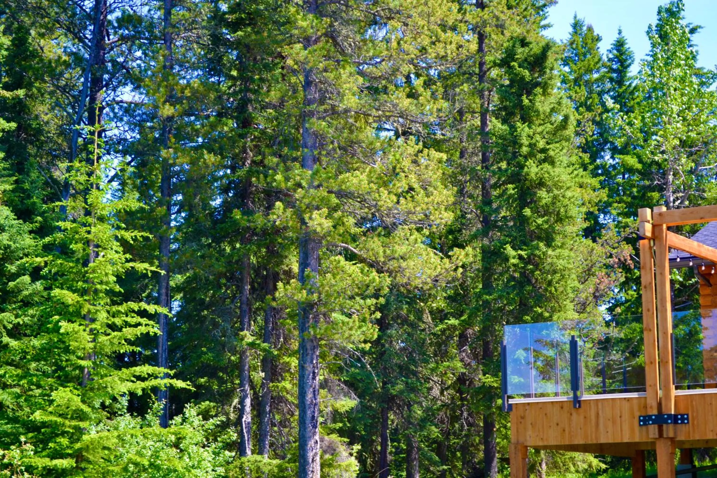 Schott's Lake Conference & Resort