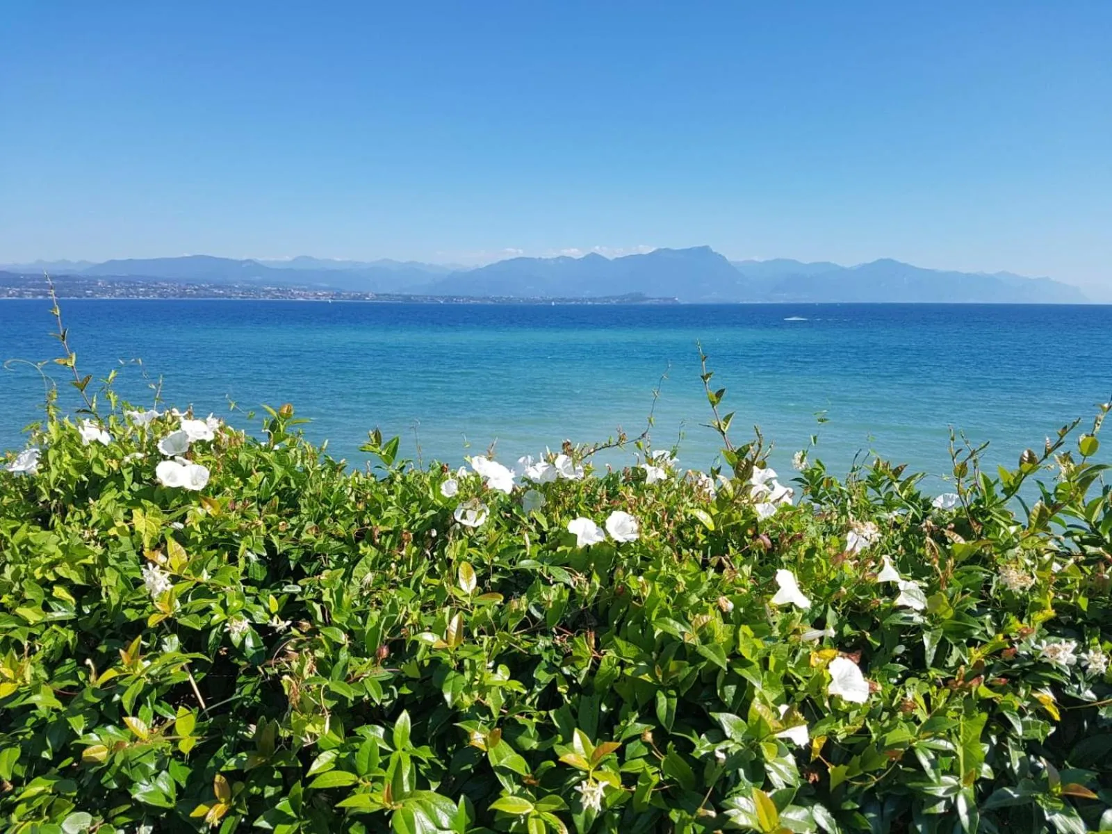 Beach in Corteallago