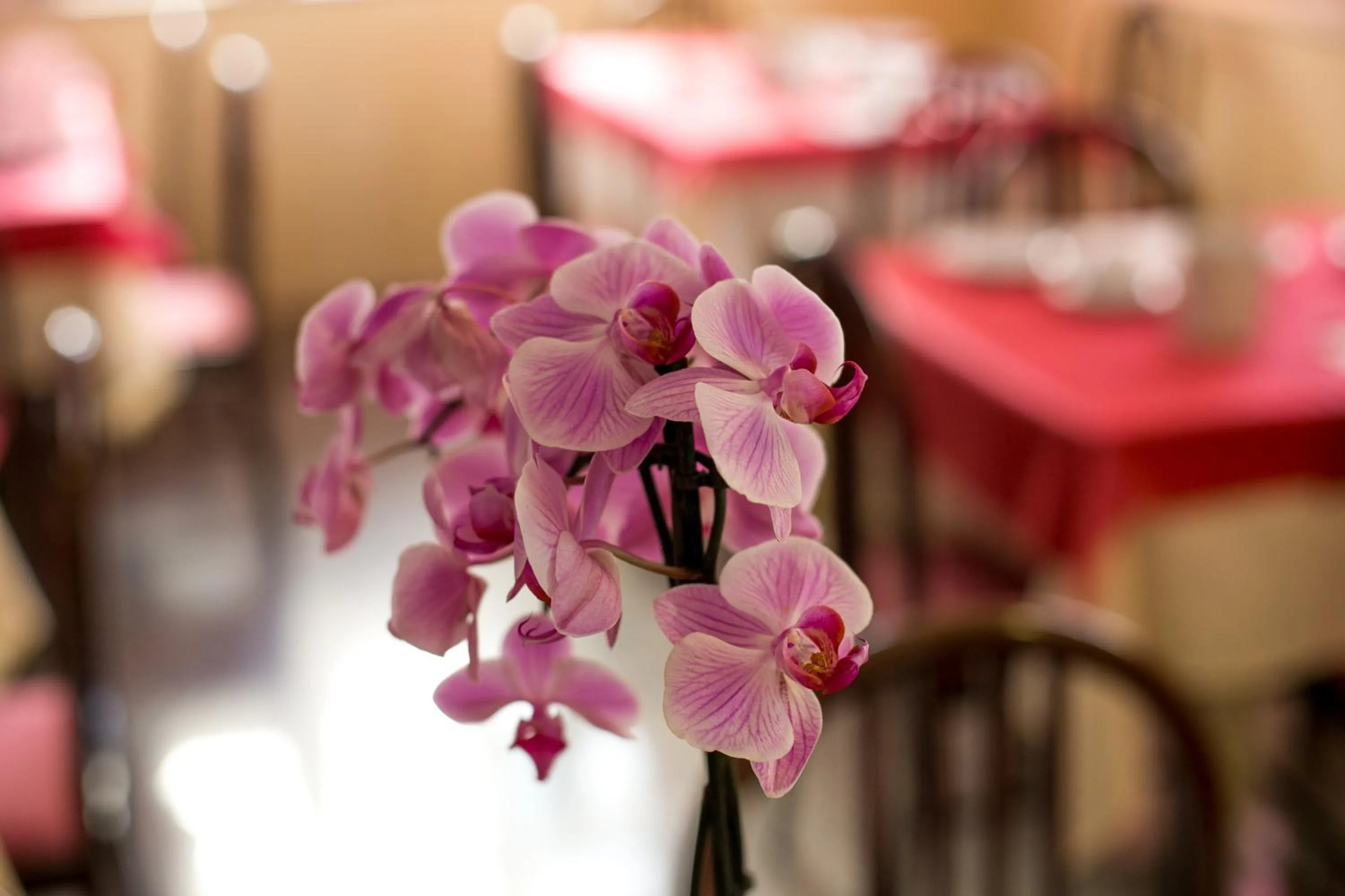 Other in Hotel Le Soleil