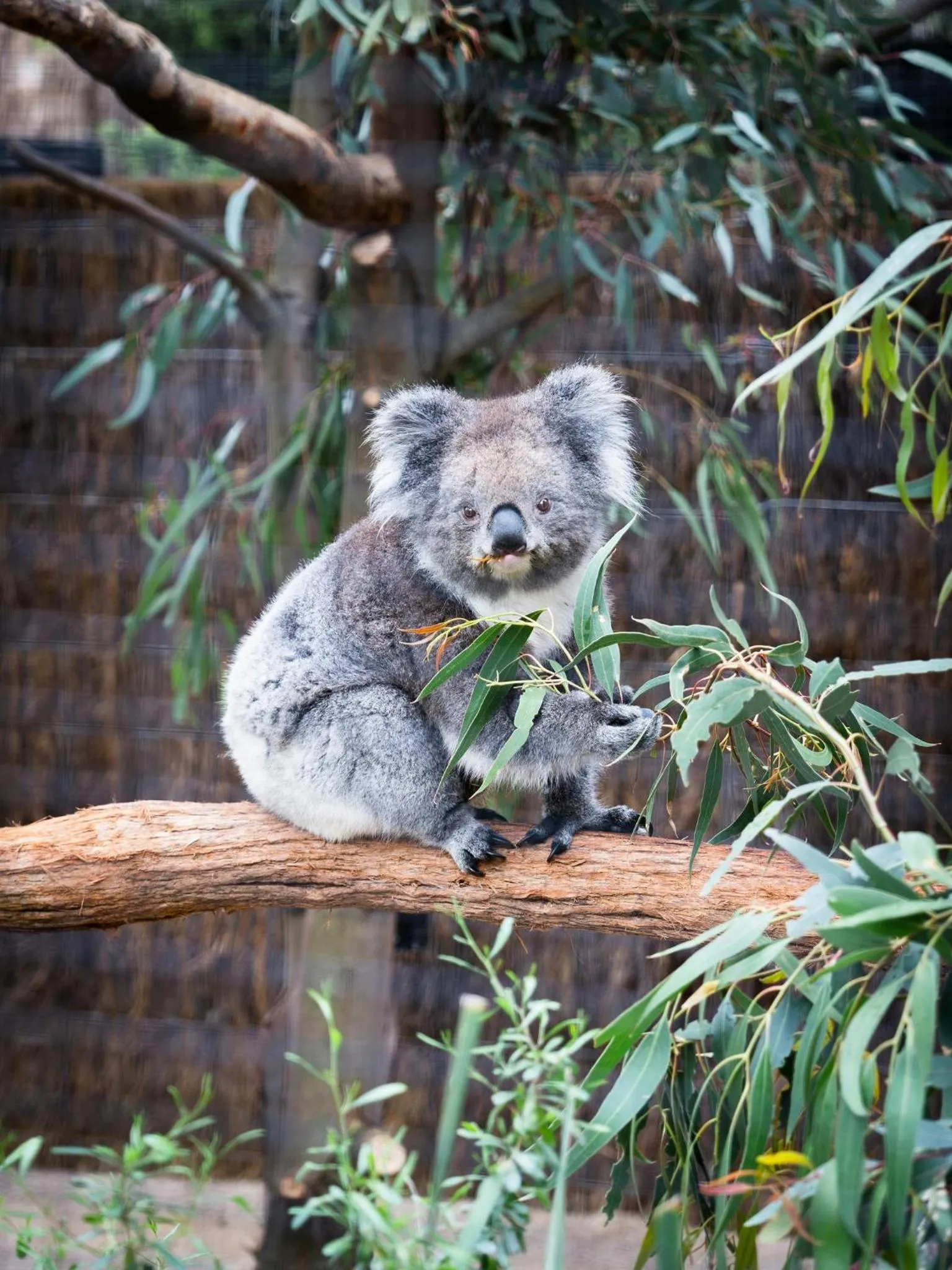 Area and facilities in Crowne Plaza Melbourne Carlton by IHG