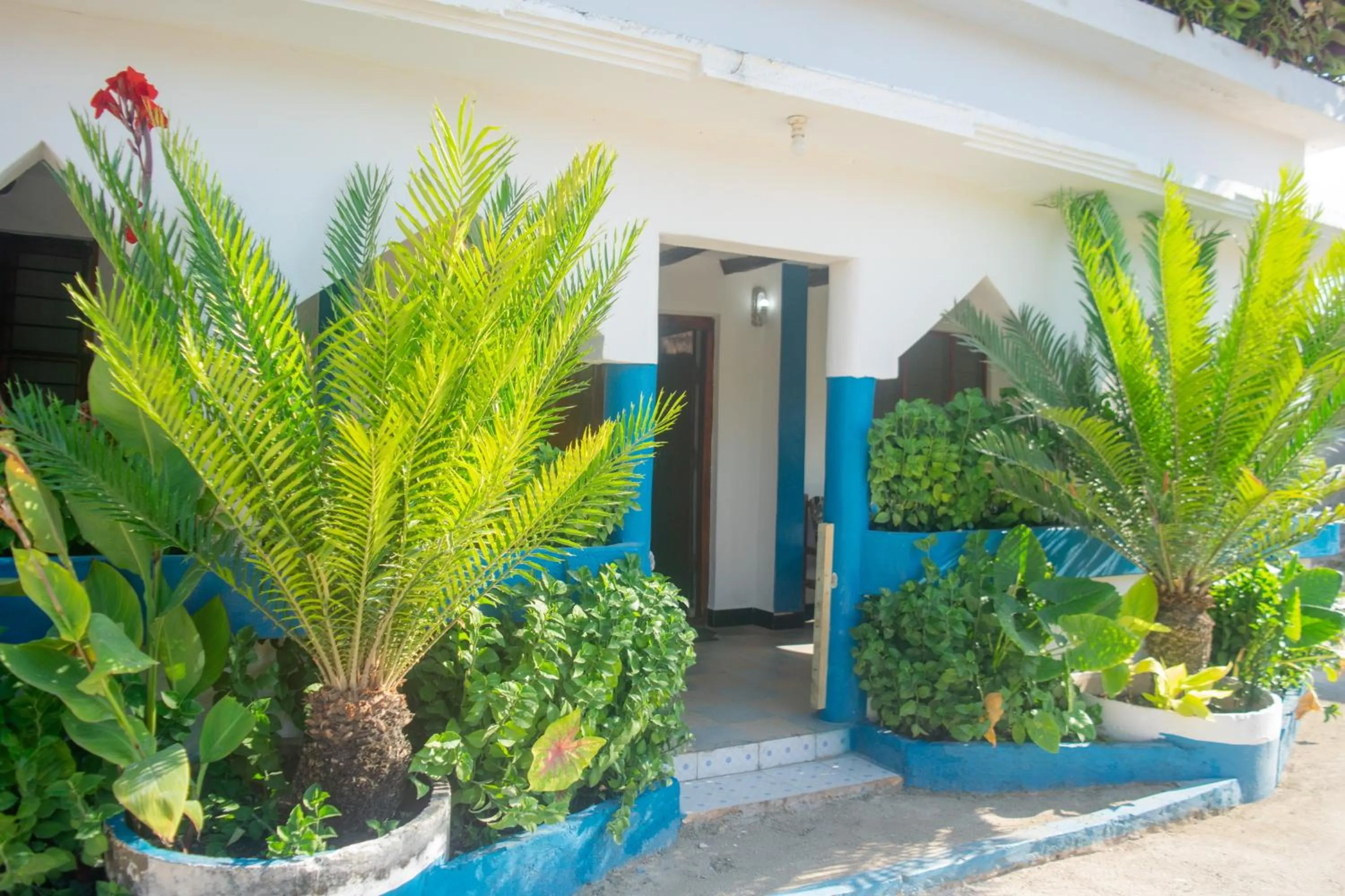 Property building in Mudi House