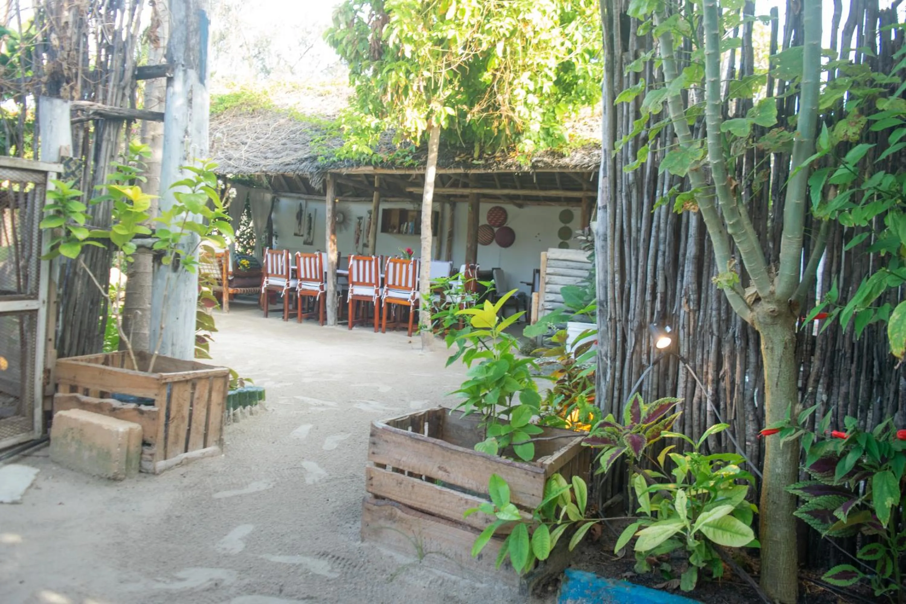 Patio in Mudi House