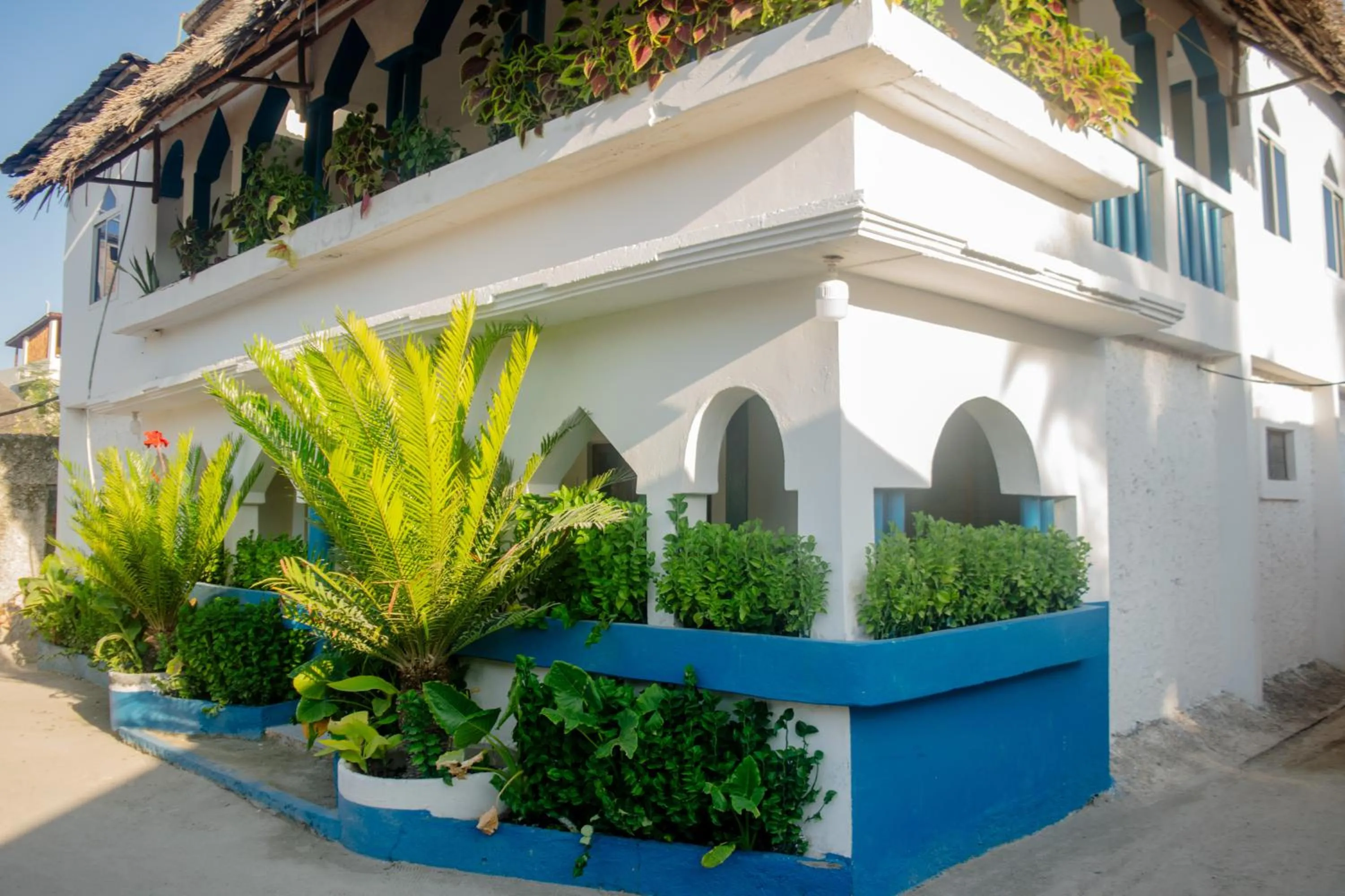 Property building in Mudi House