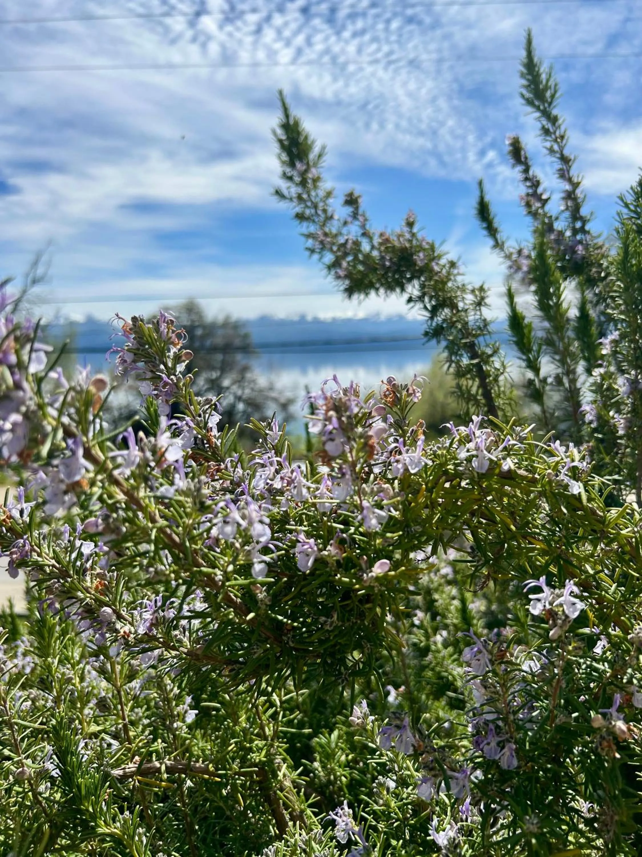 Natural landscape in Bahia Paraiso Apart & Suites