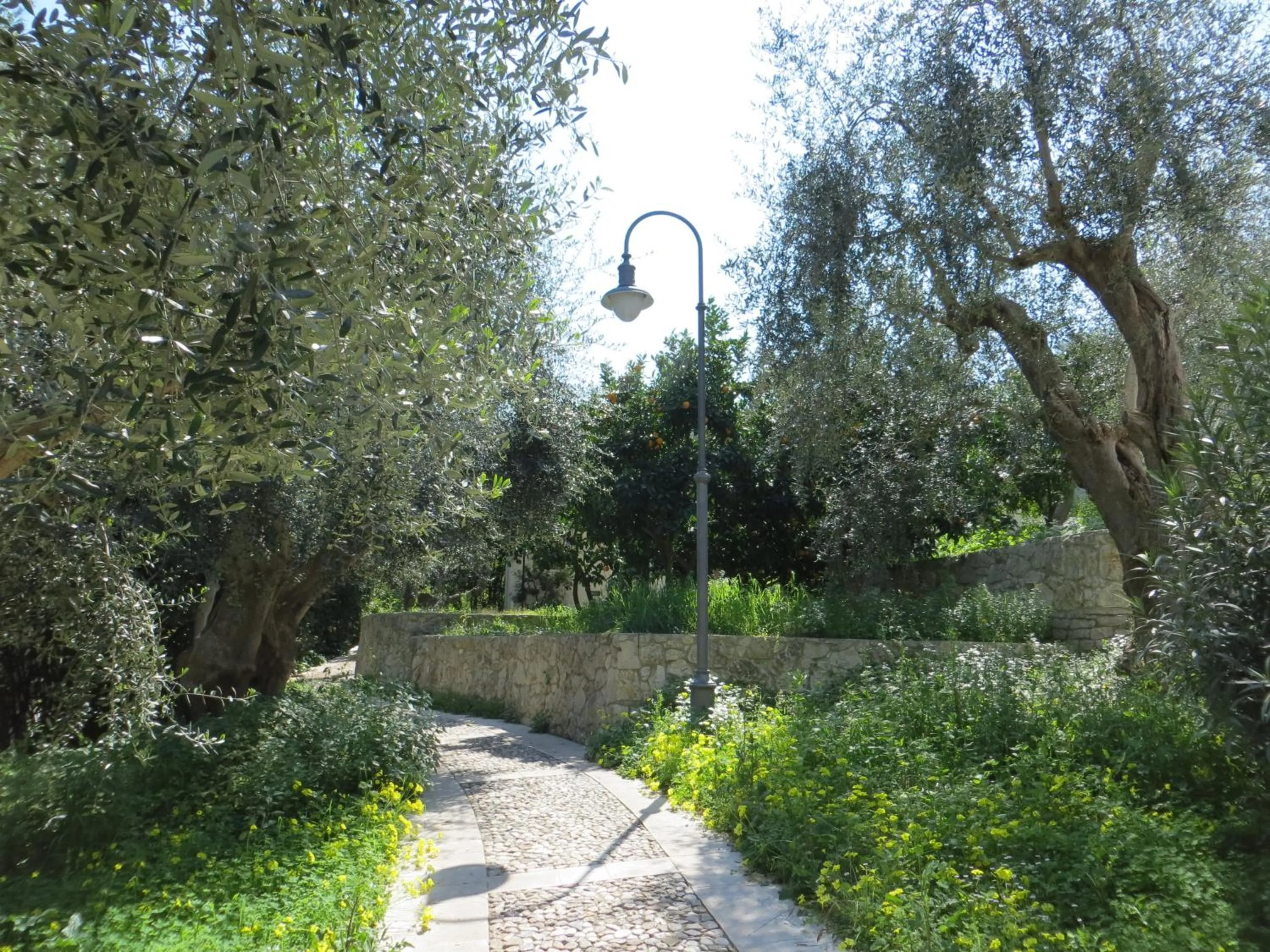 Facade/entrance in Villaggio Hotel Ripa