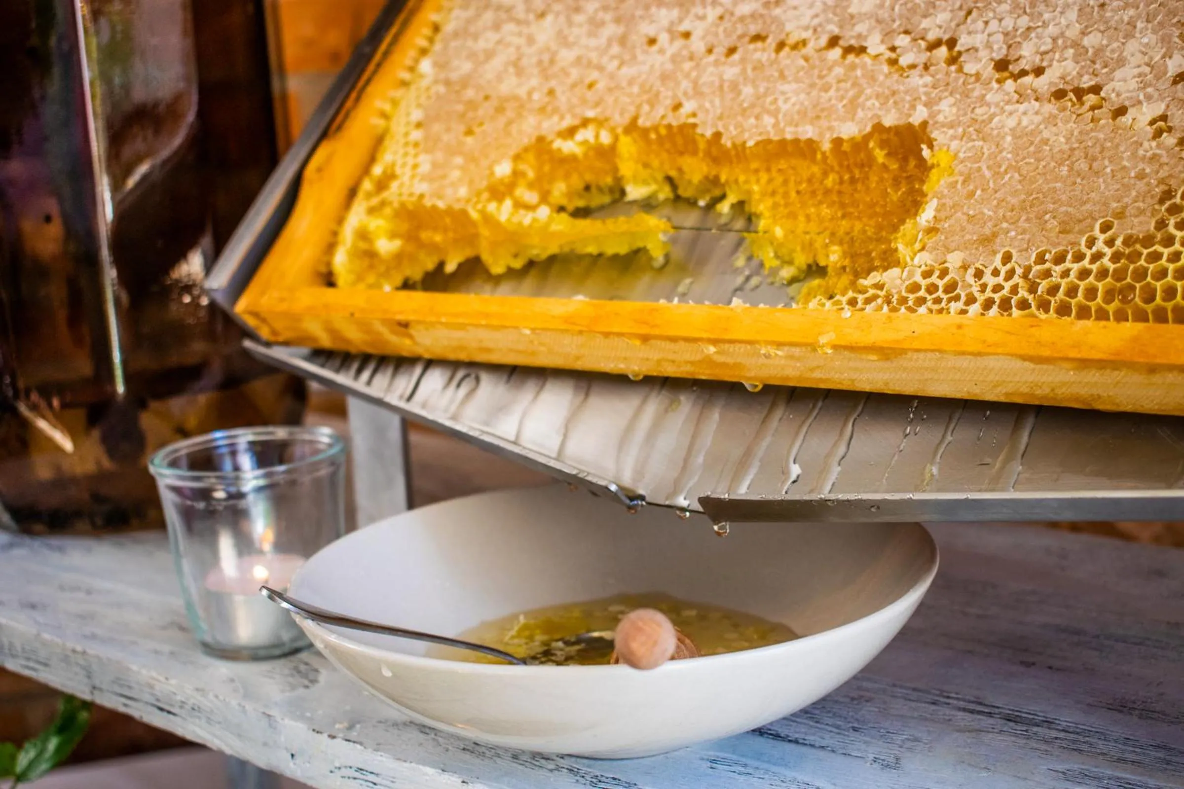 Restaurant/places to eat in Folwark Łękuk