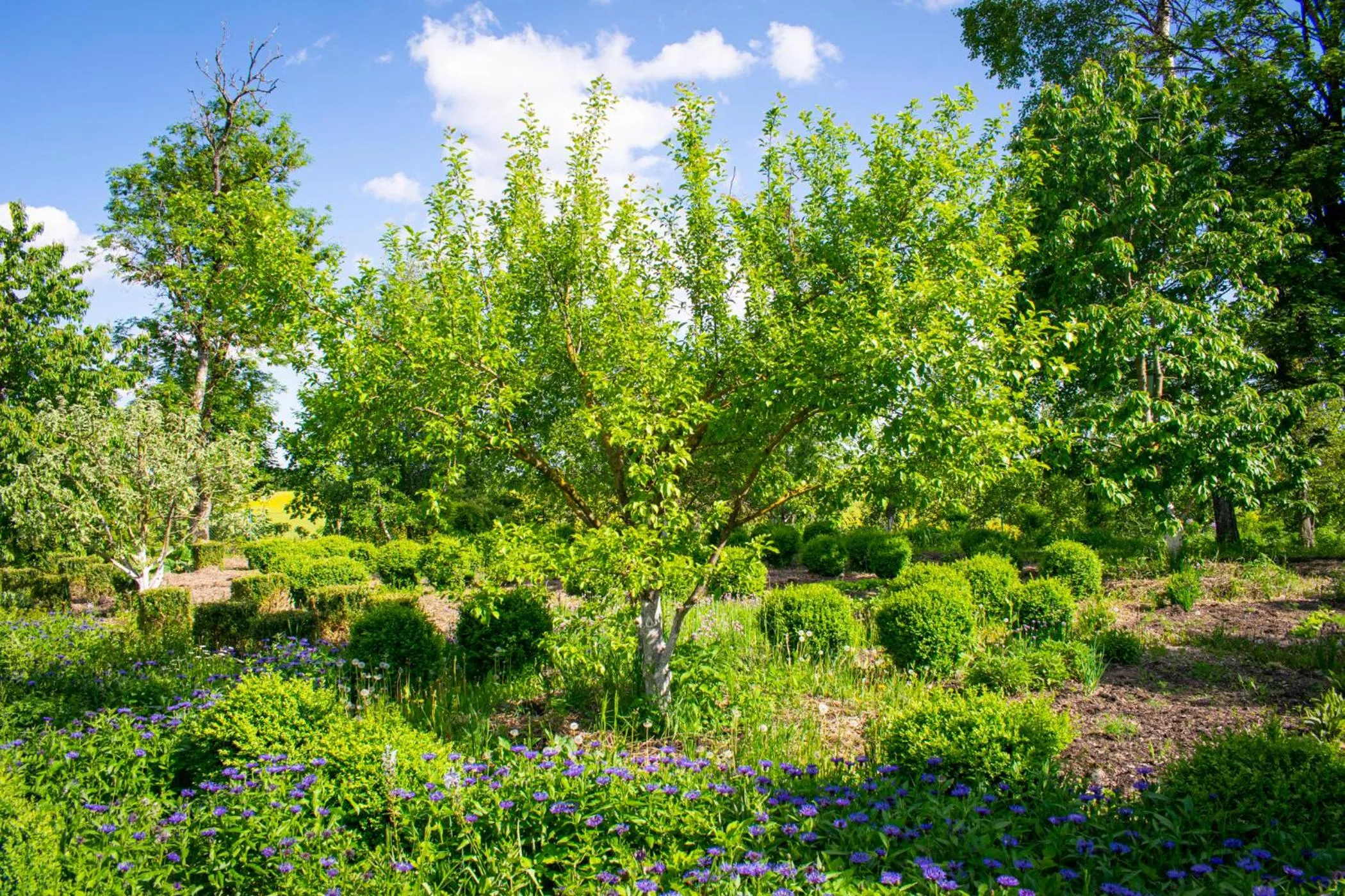 Garden in Folwark Łękuk