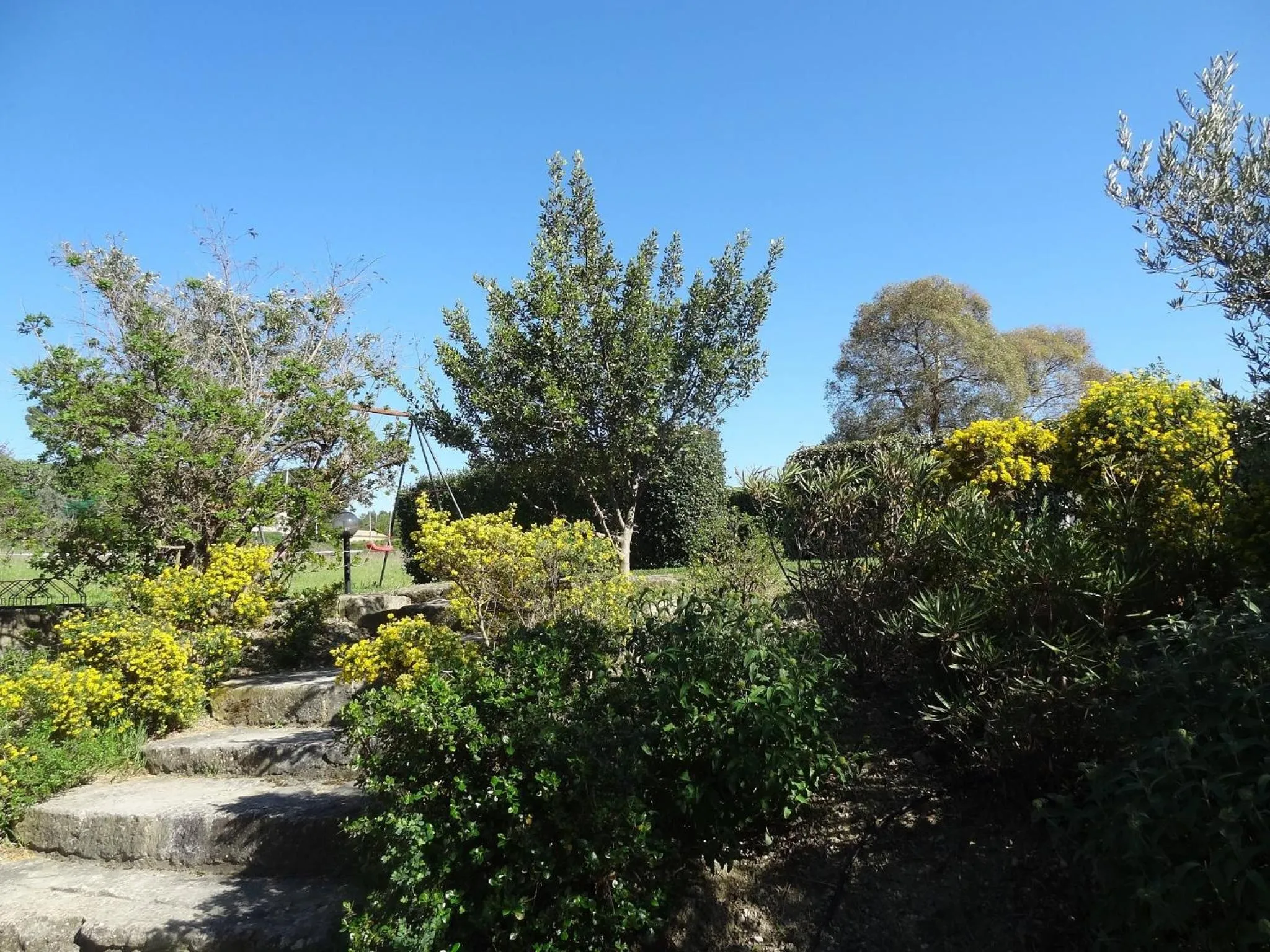 Garden in Les Résidences de Métifiot