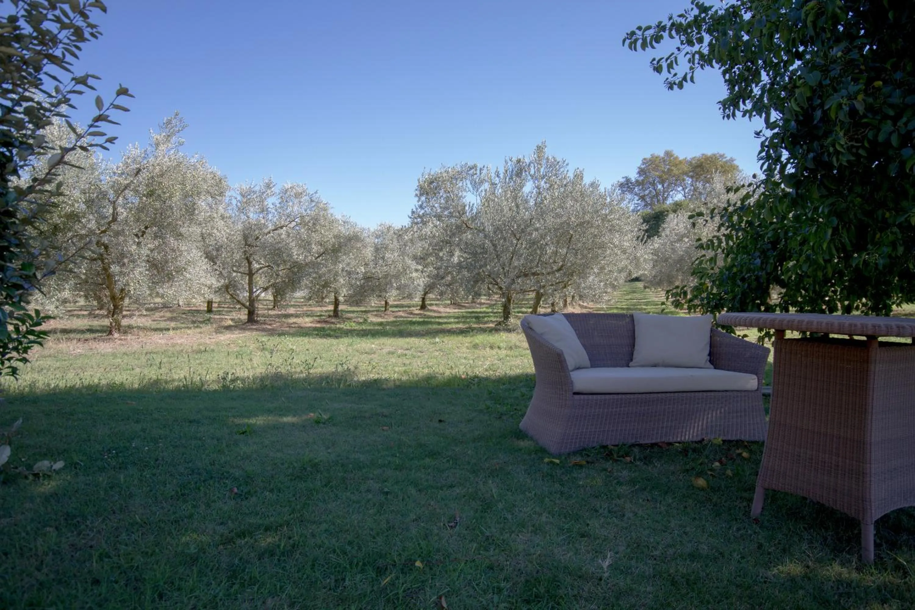 Garden in Les Résidences de Métifiot