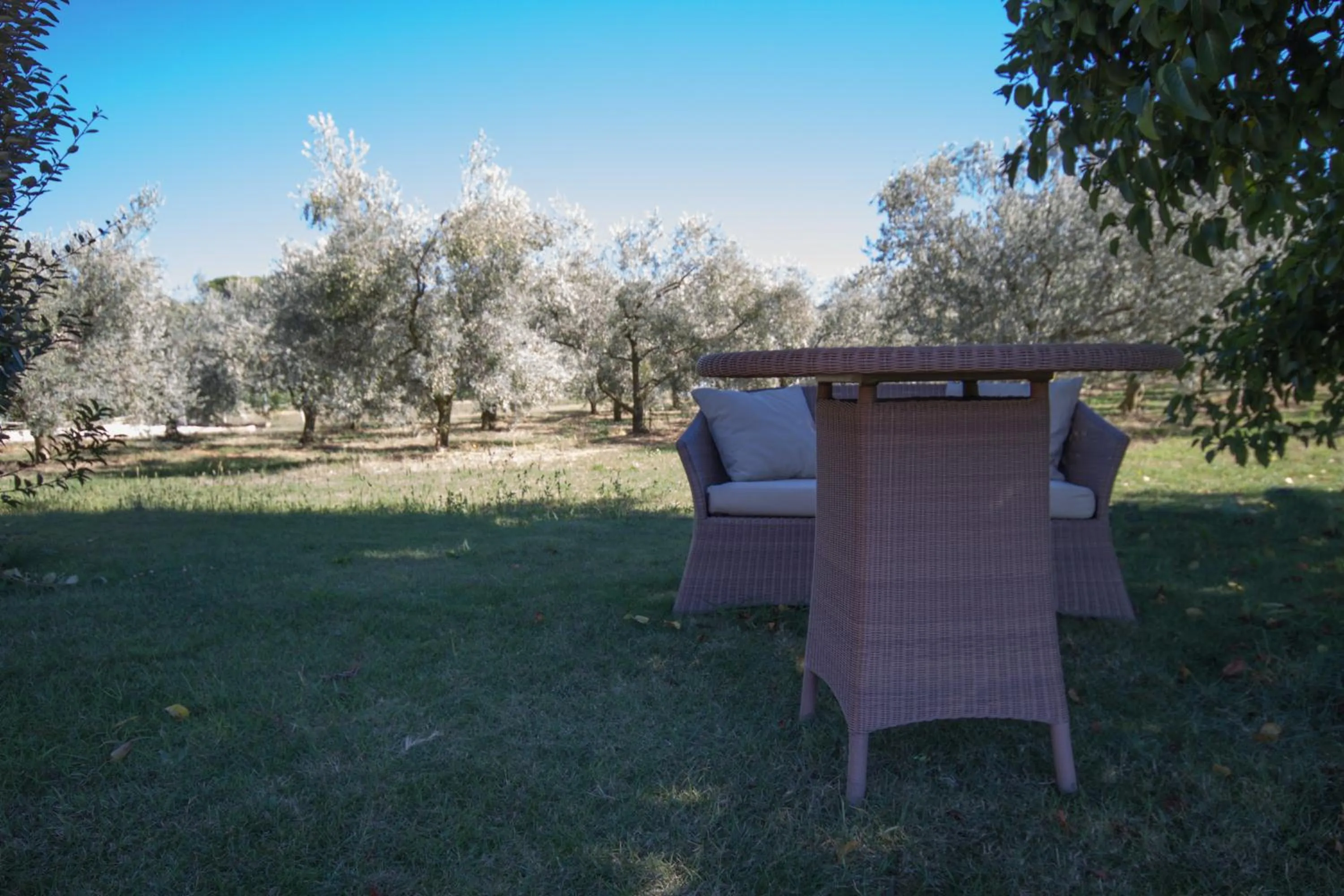 Garden in Les Résidences de Métifiot