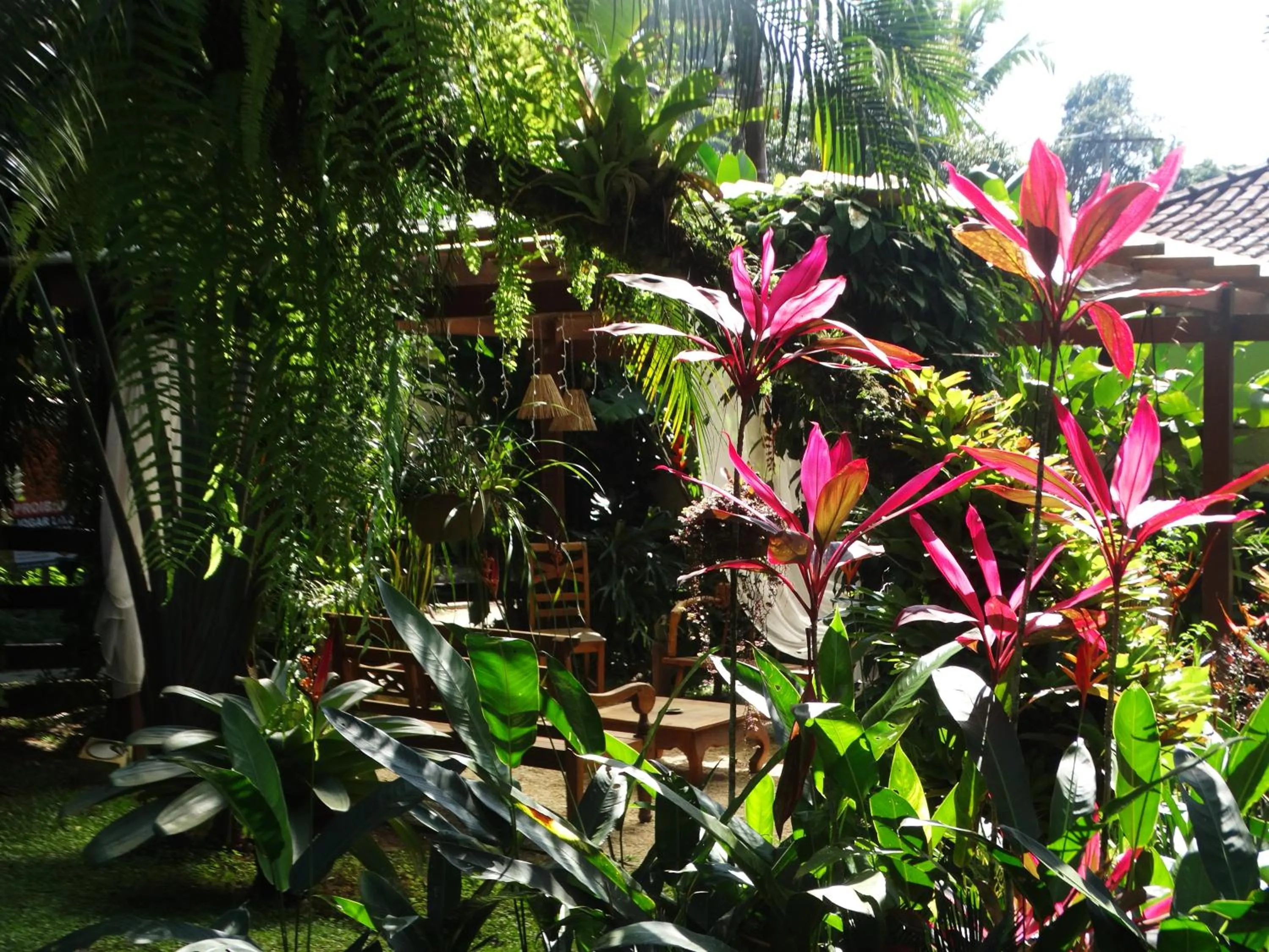 Garden in Pousada Recanto das Estrelas