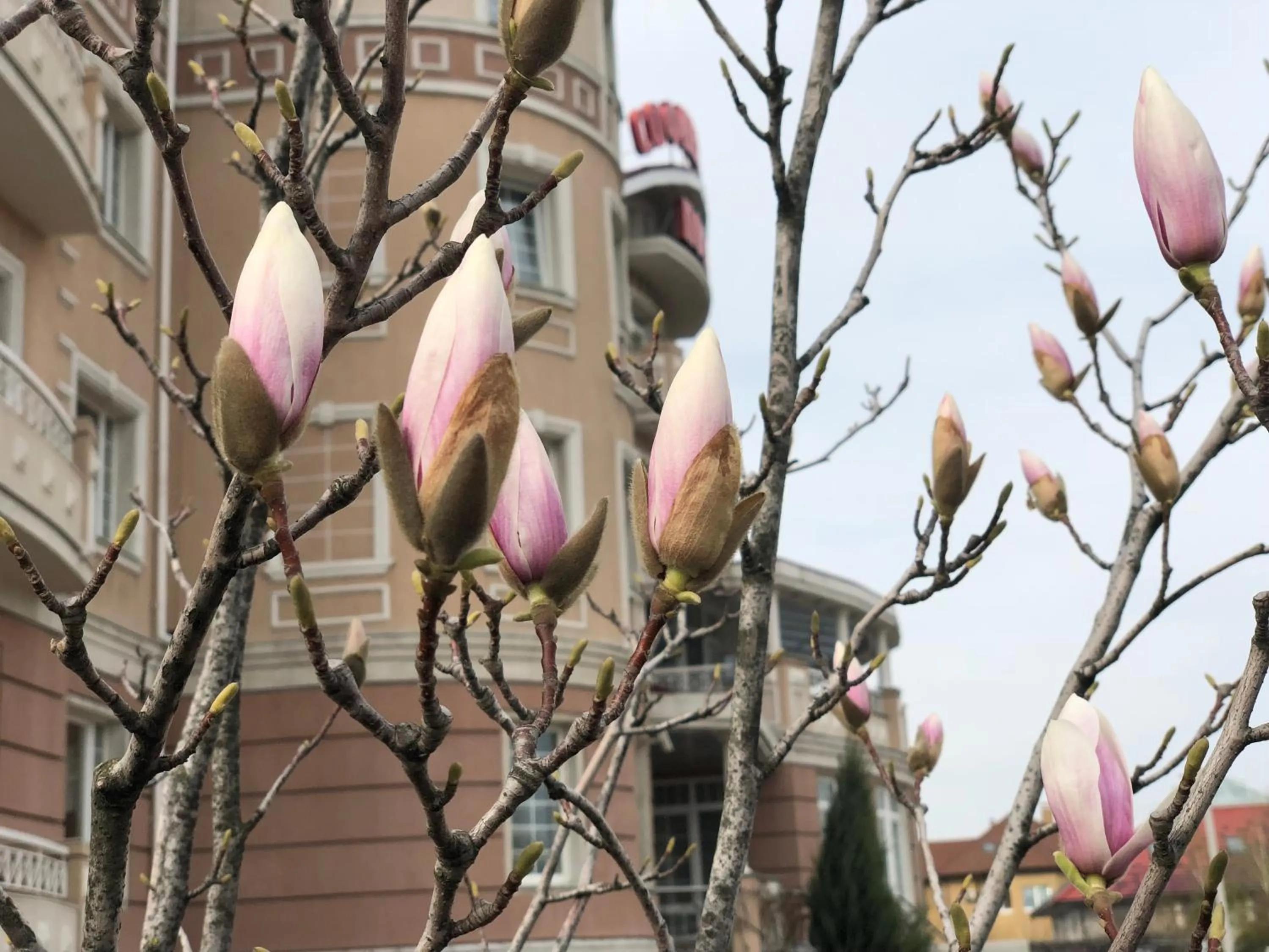 Property building in Sofievsky Posad Hotel