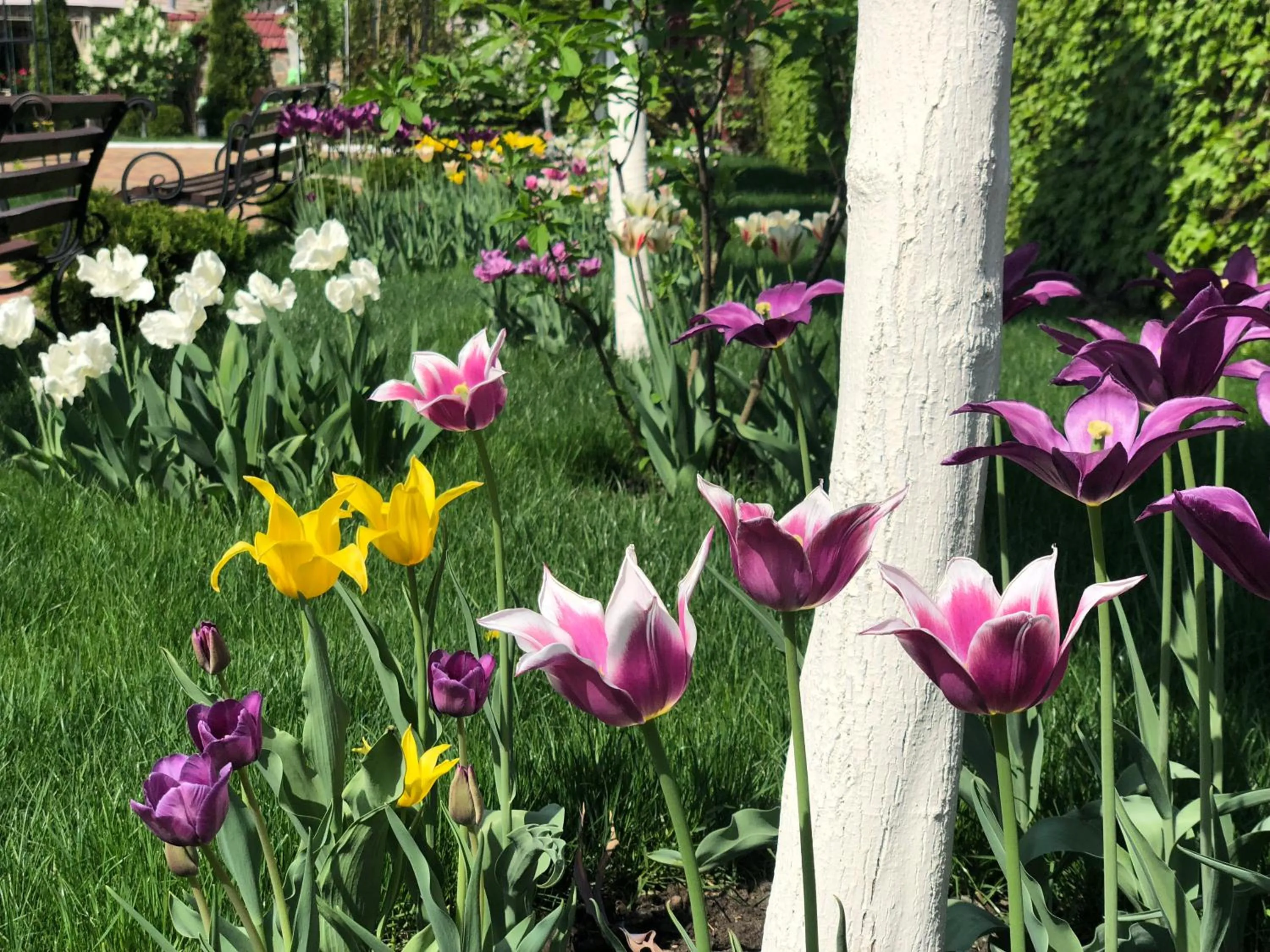 Garden in Sofievsky Posad Hotel