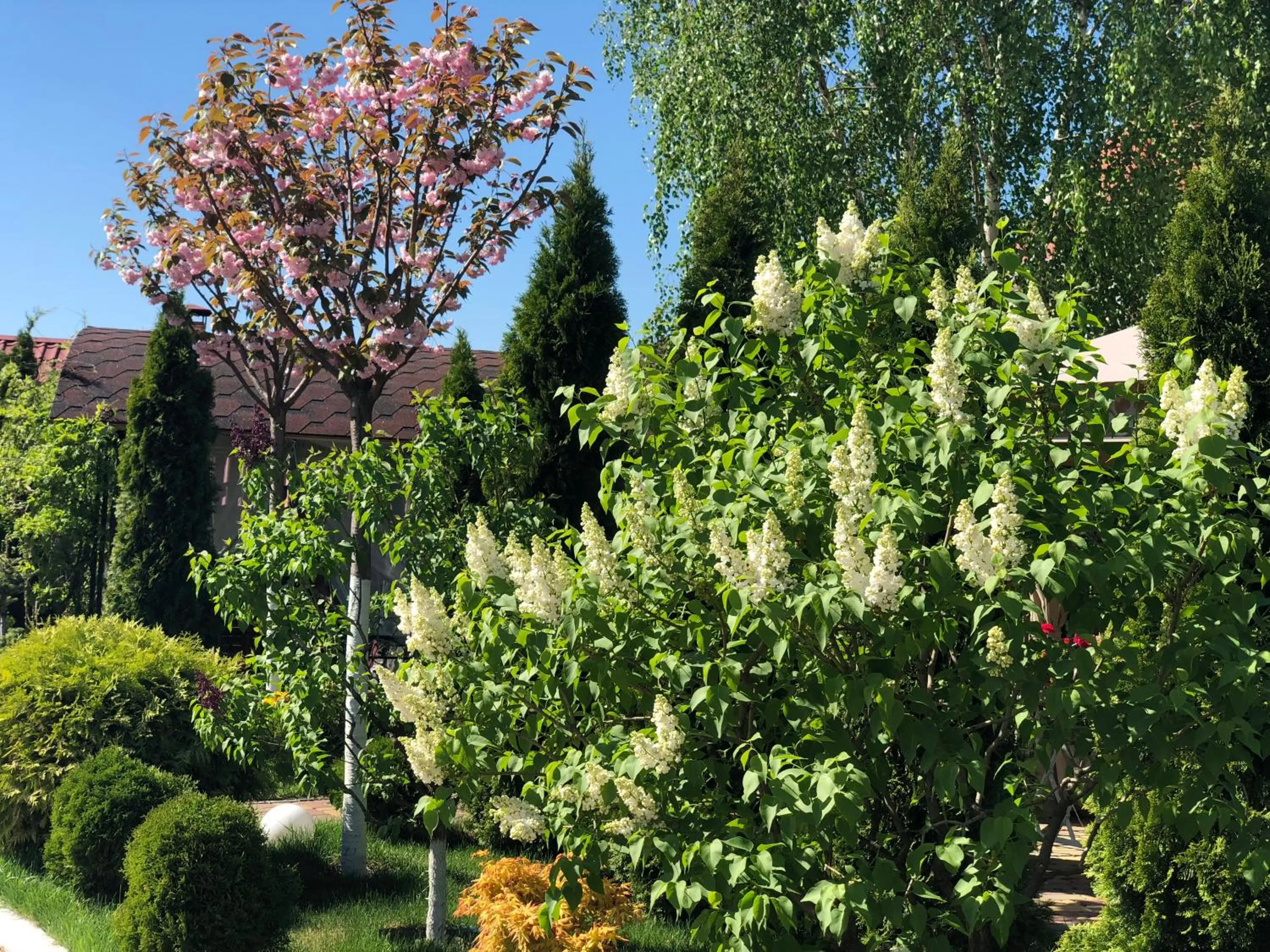 Garden in Sofievsky Posad Hotel