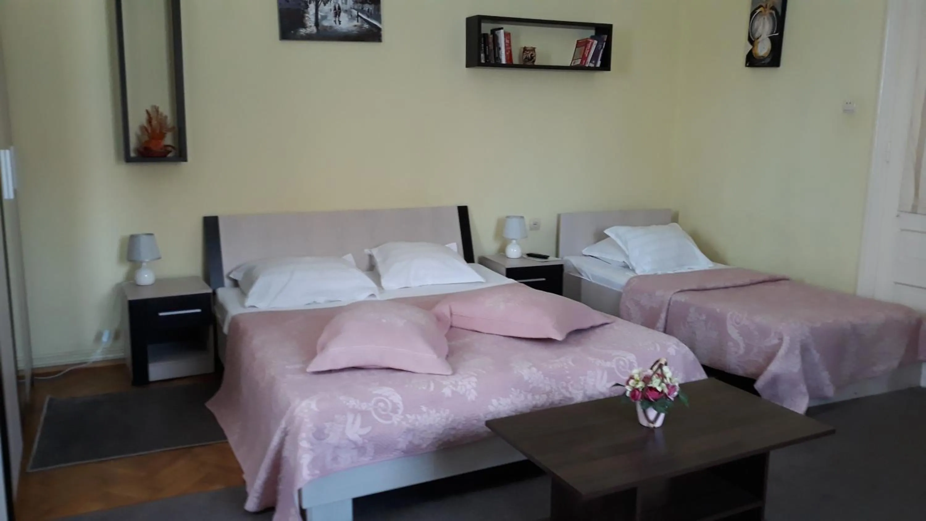 Apartment 3 Adults in Villa Casa Ioana